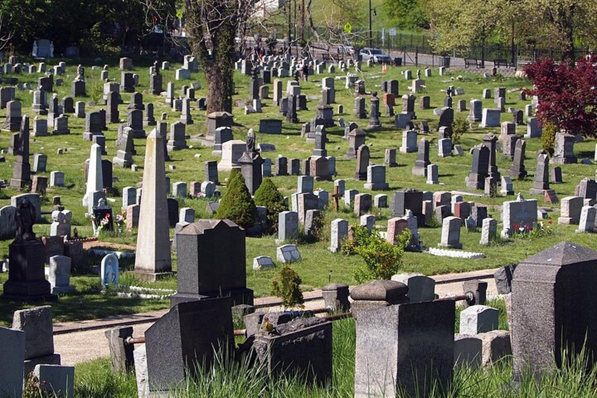 New York City and Jersey City American Revolution Private Tour - Image 6