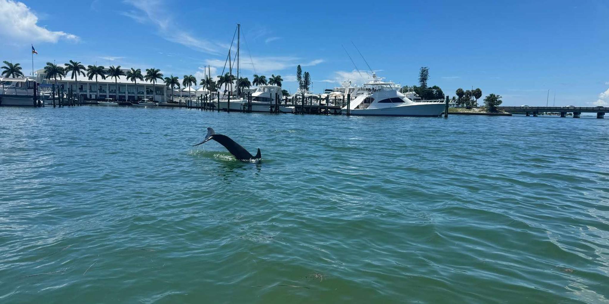 Sarasota Island Catamaran Tour - Image 3