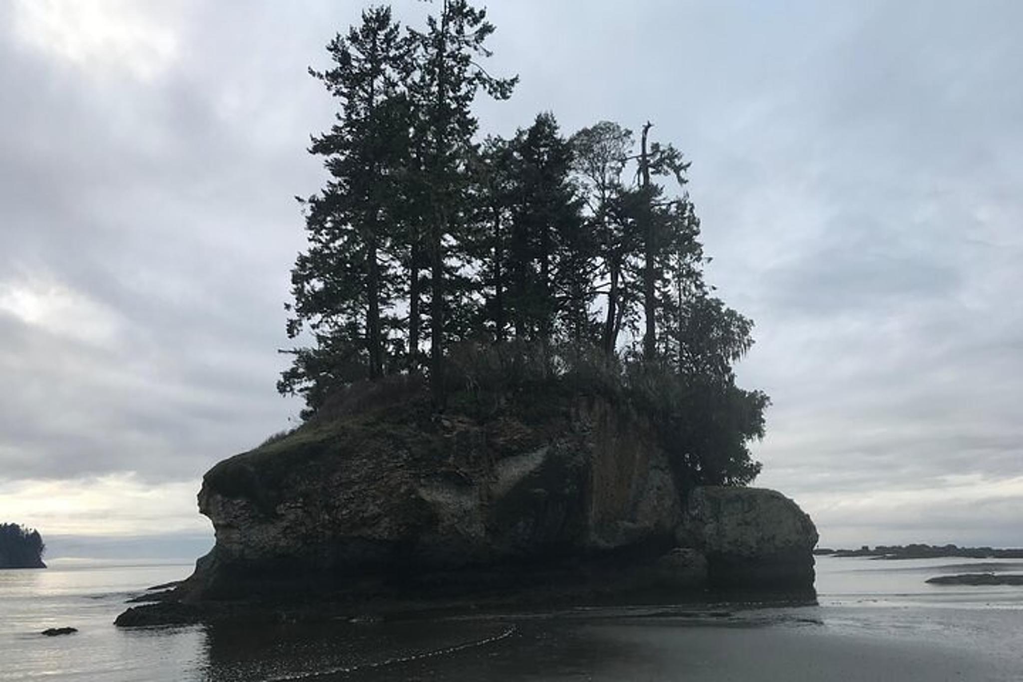 Seattle Olympic National Park Day Tour - Image 5