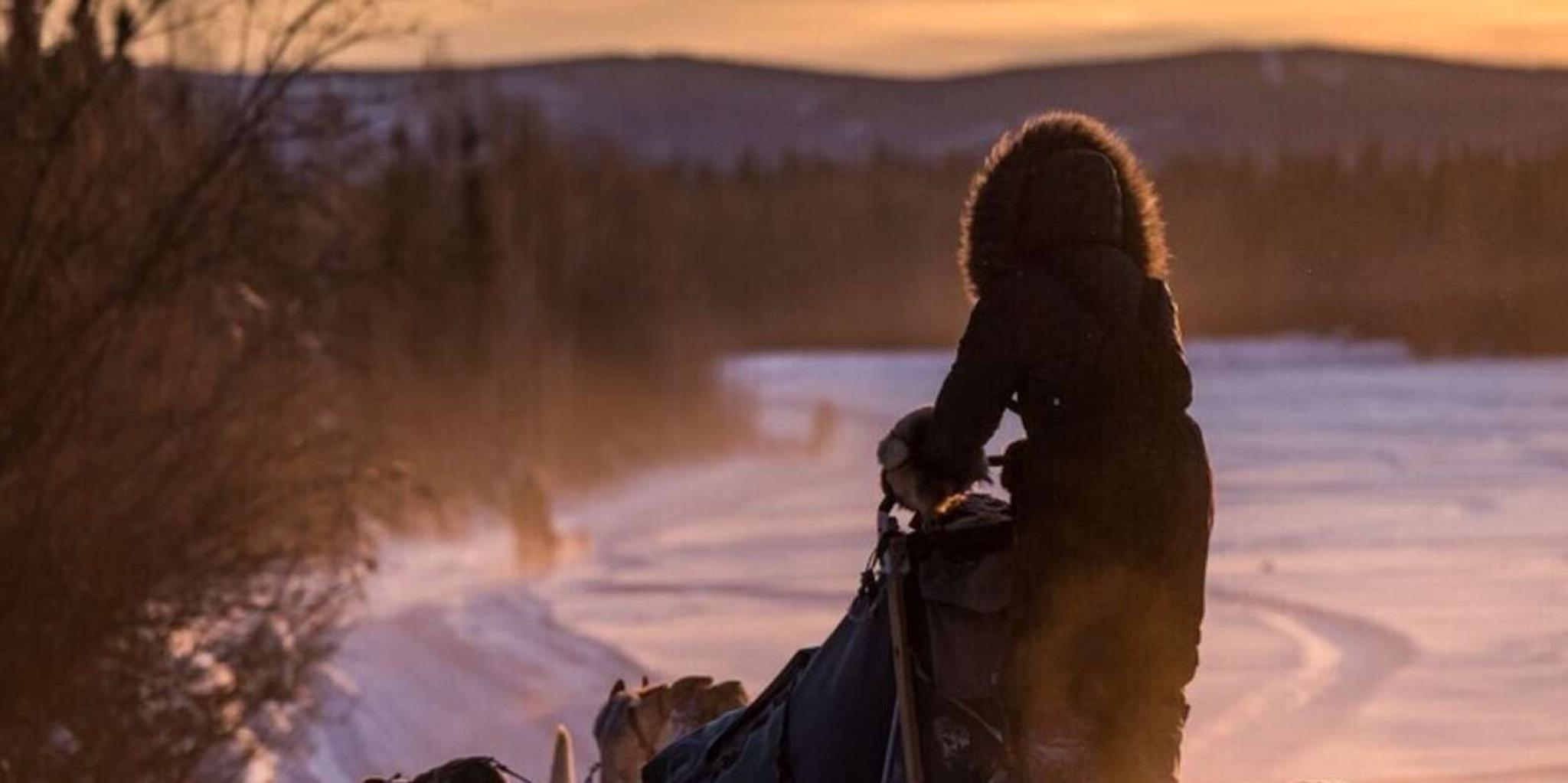 Fairbanks Dog Sledding on the Yukon Quest Trail - Image 6