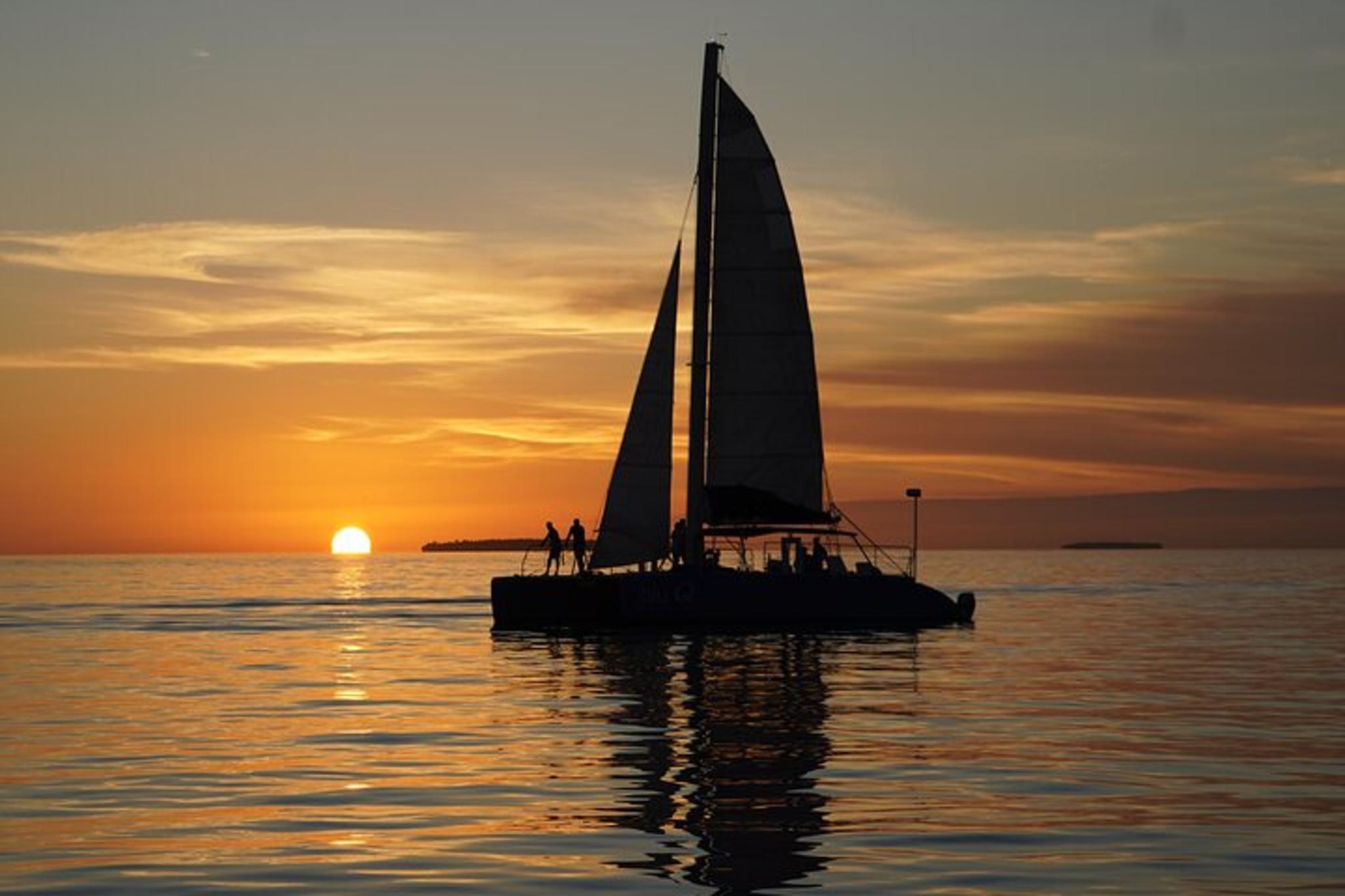 Key West Dolphin Watch and Sunset Sail - Image 6