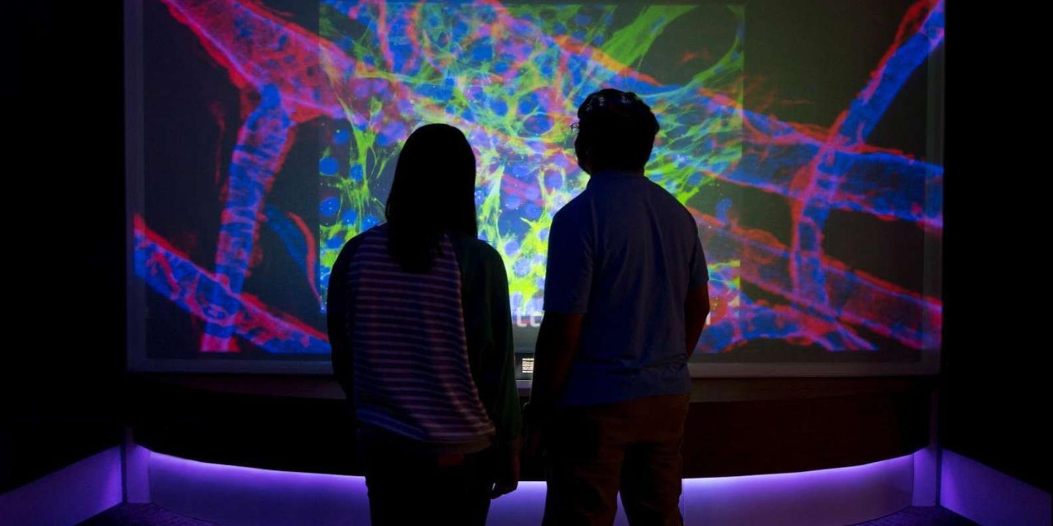 Boston CityPASS: 4 Attractions - Image 4