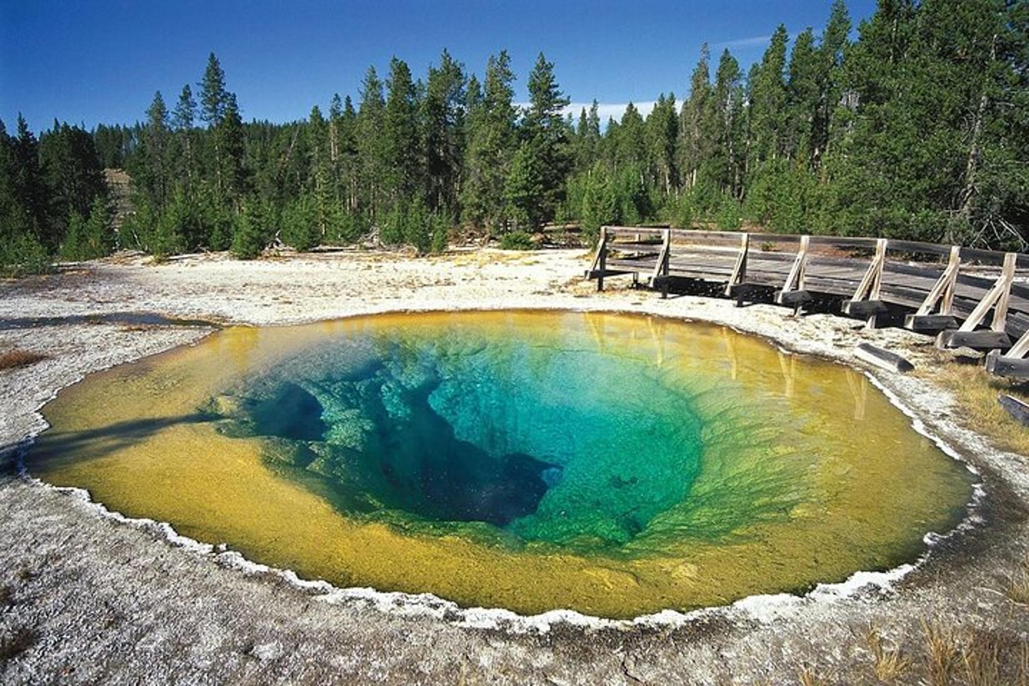 Yellowstone Park Private Full Day Tour - Image 6