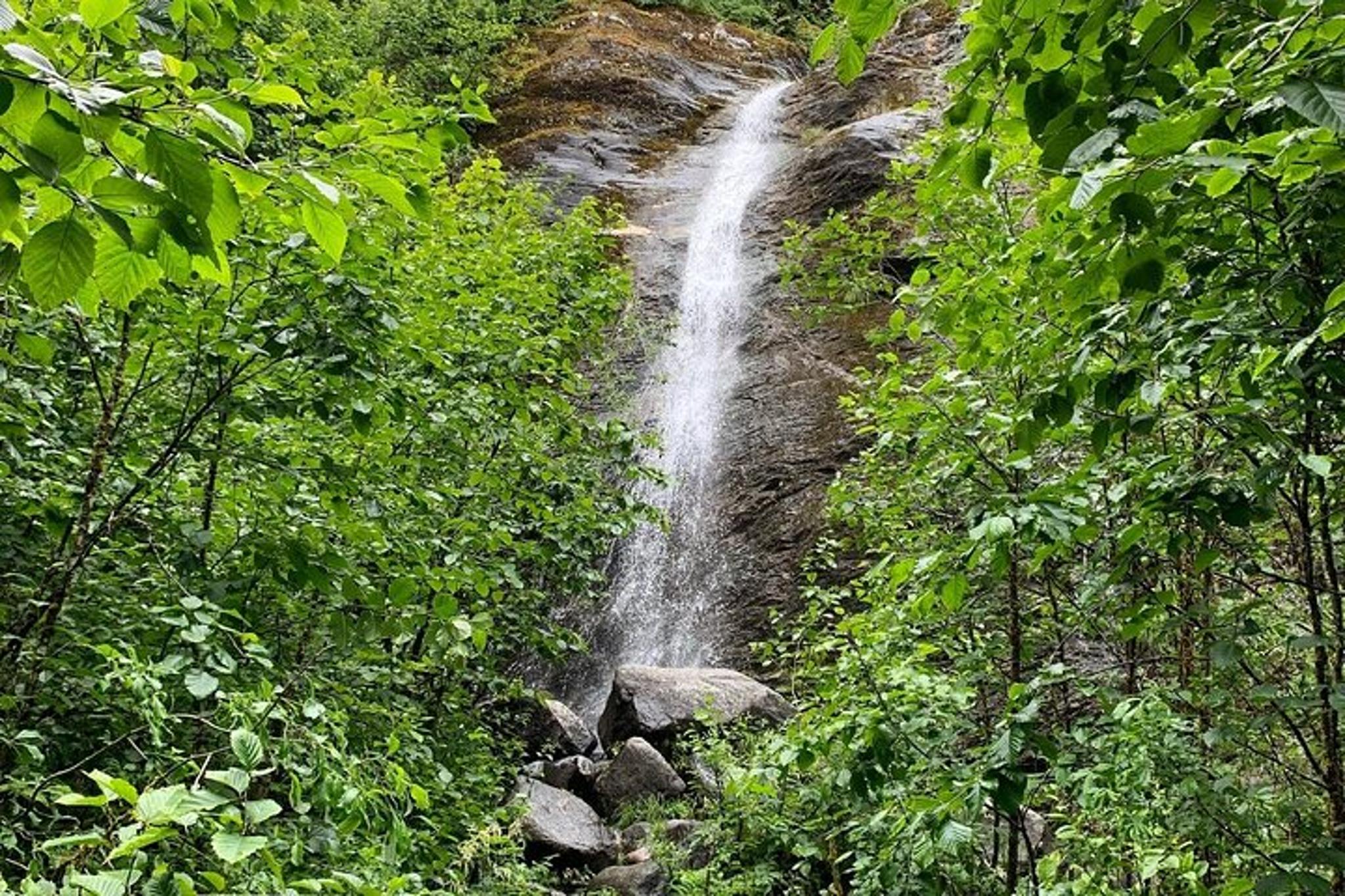 Juneau Rainforest & Waterfalls Trek - Image 1