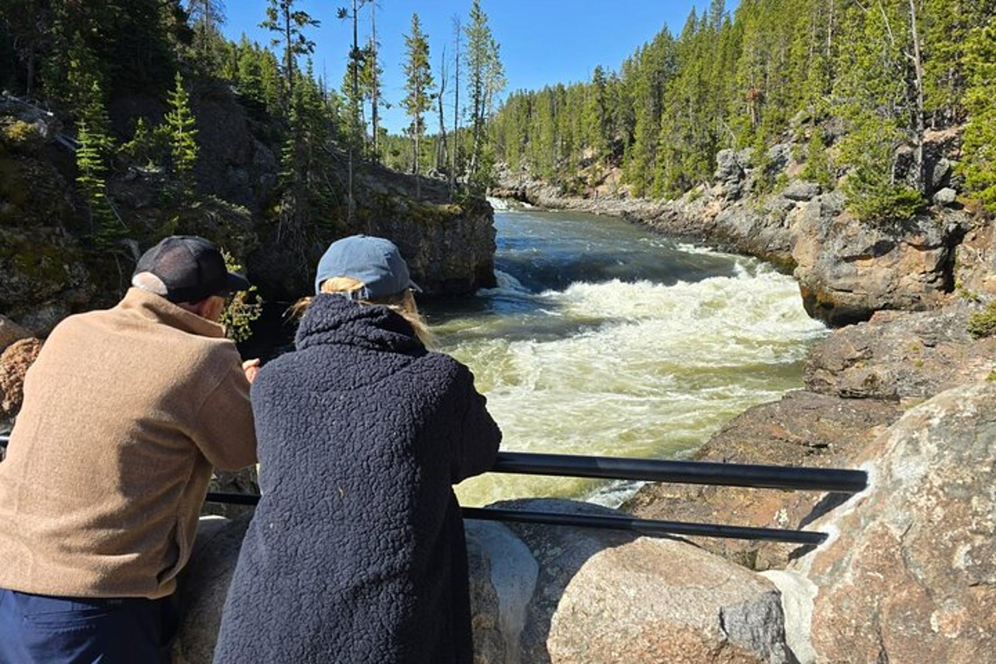 Jackson Hole Yellowstone Lower Loop Private Tour - Image 4