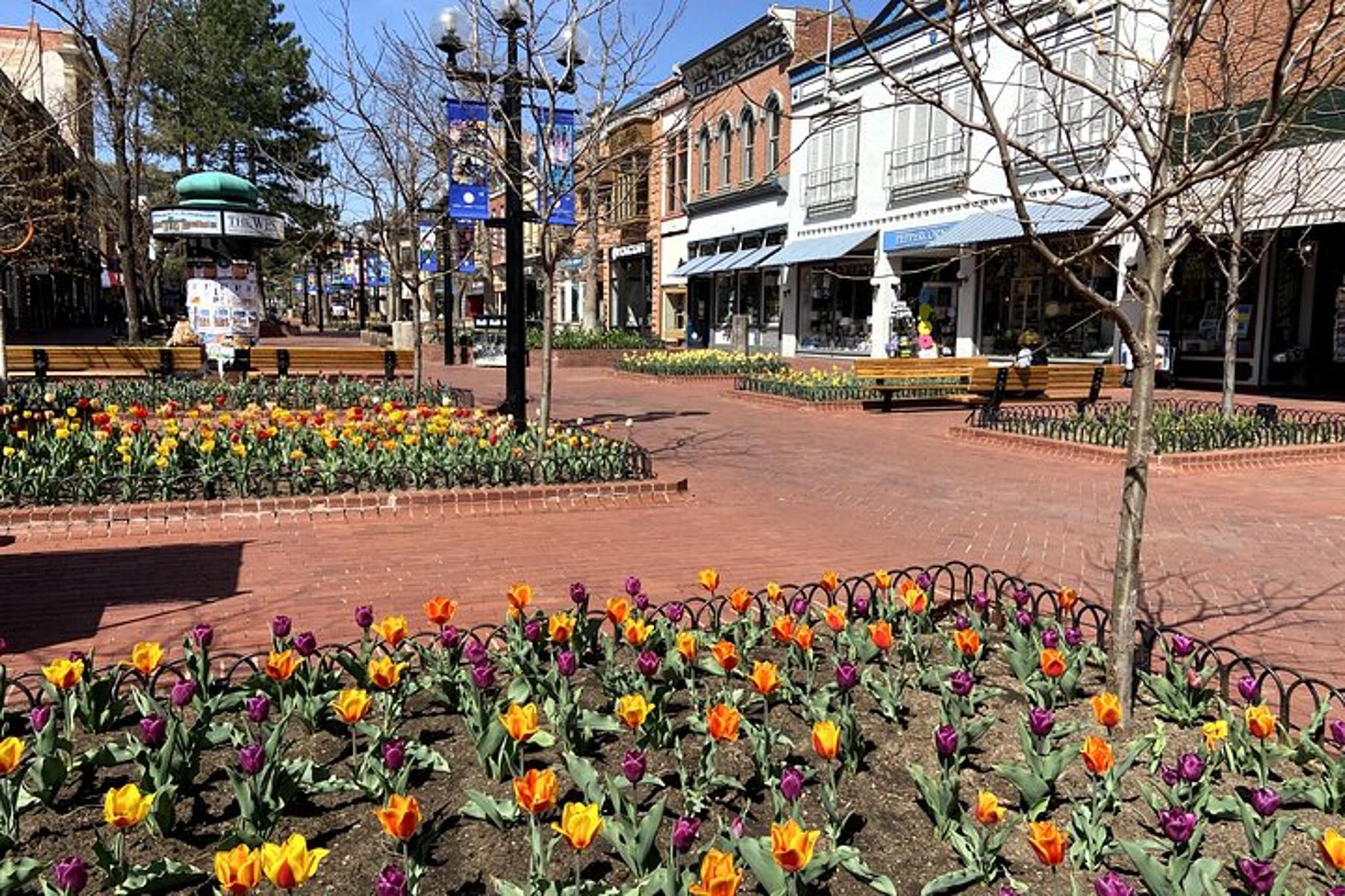 Boulder Walking Tour