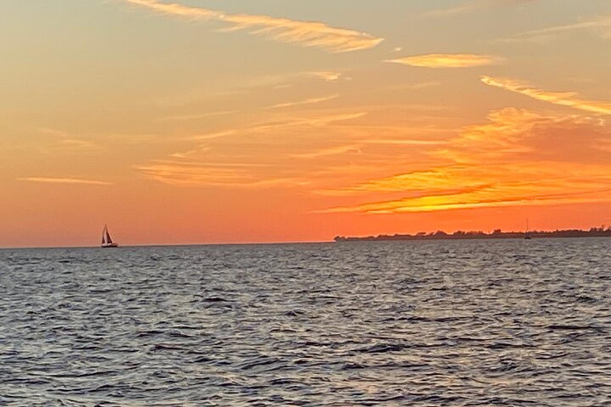 Fort Myers Dolphin Tour for 7 People 2 hr - Image 2