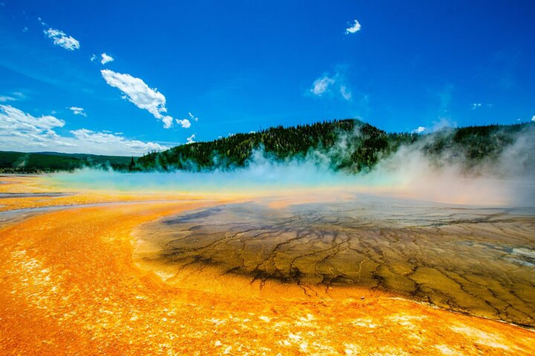 Yellowstone Private Tour with Picnic - Image 4