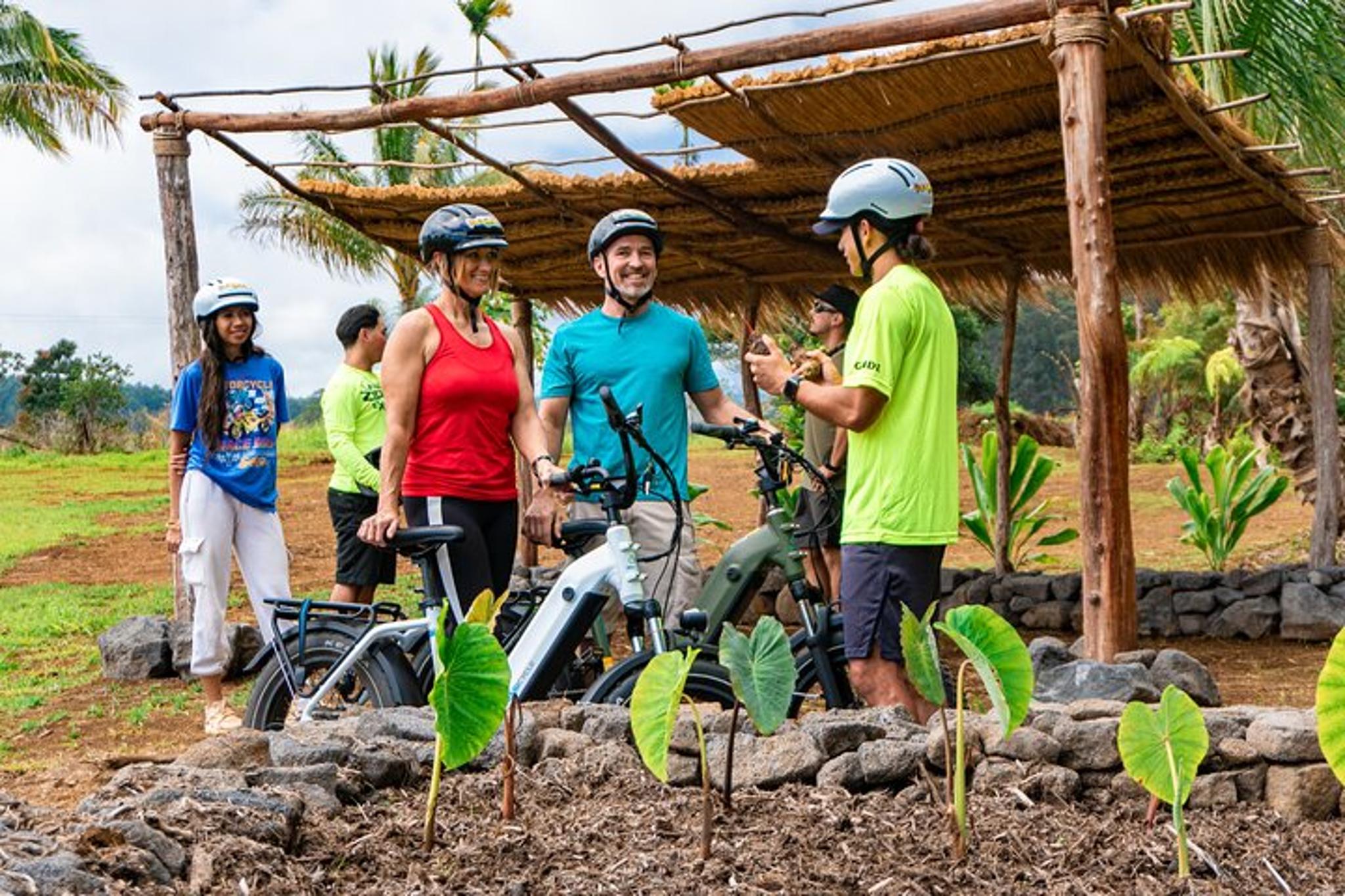 Hakalau eBike Tour at Umauma Falls - Image 2