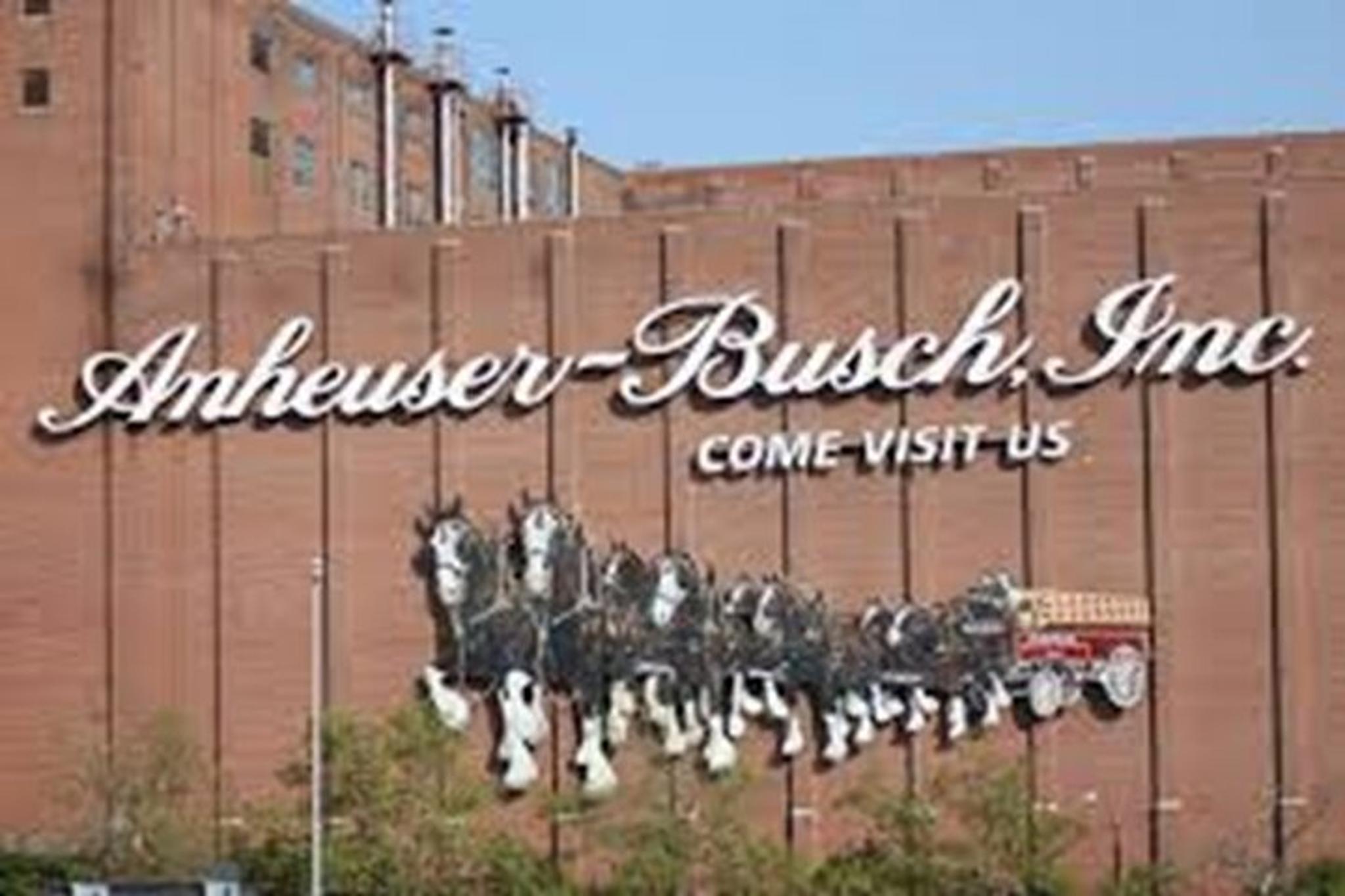 St. Louis Beer Whiskey Wine Tasting Experience - Image 2