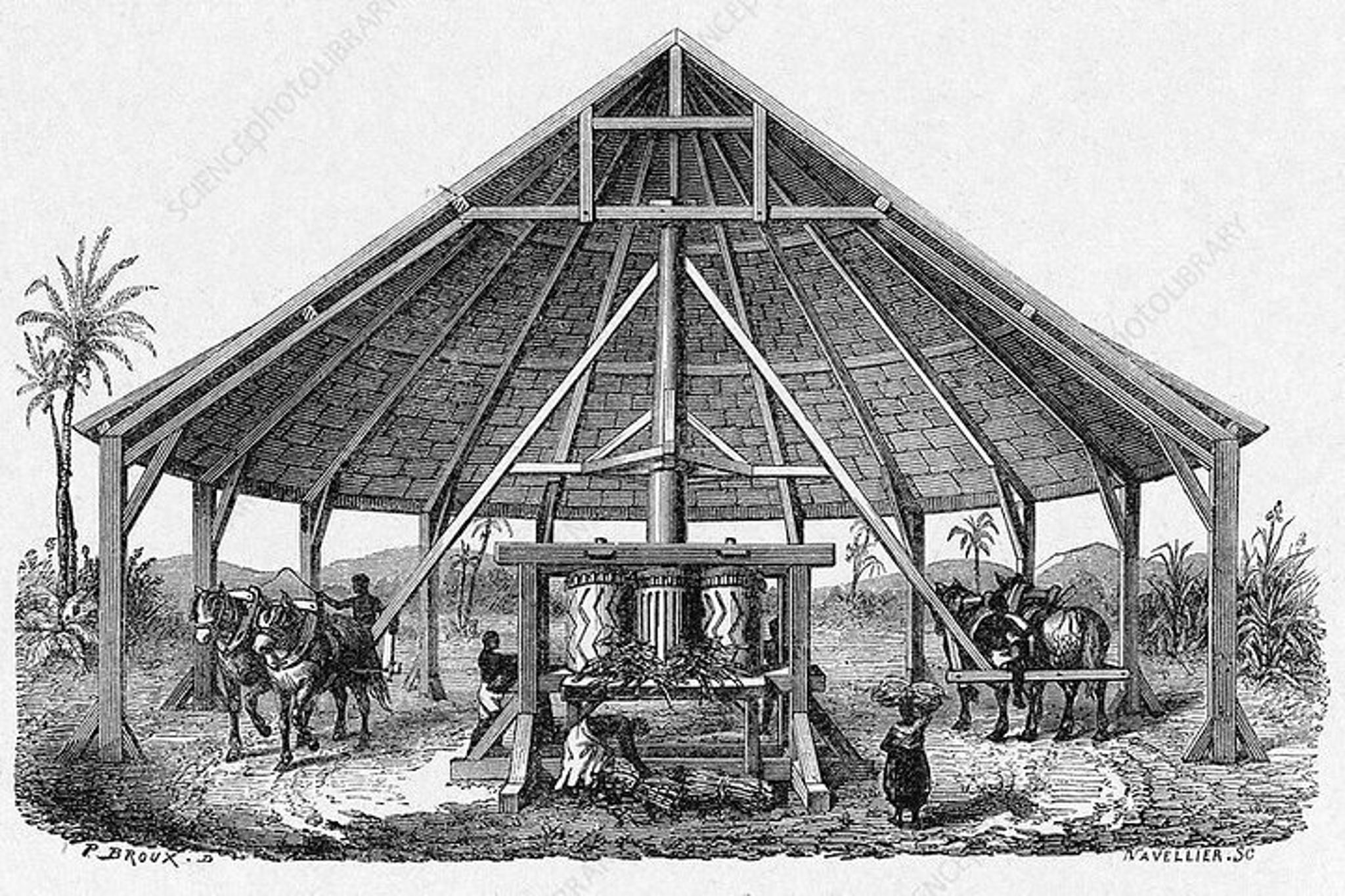 New Orleans History of Slavery Tour - Image 5