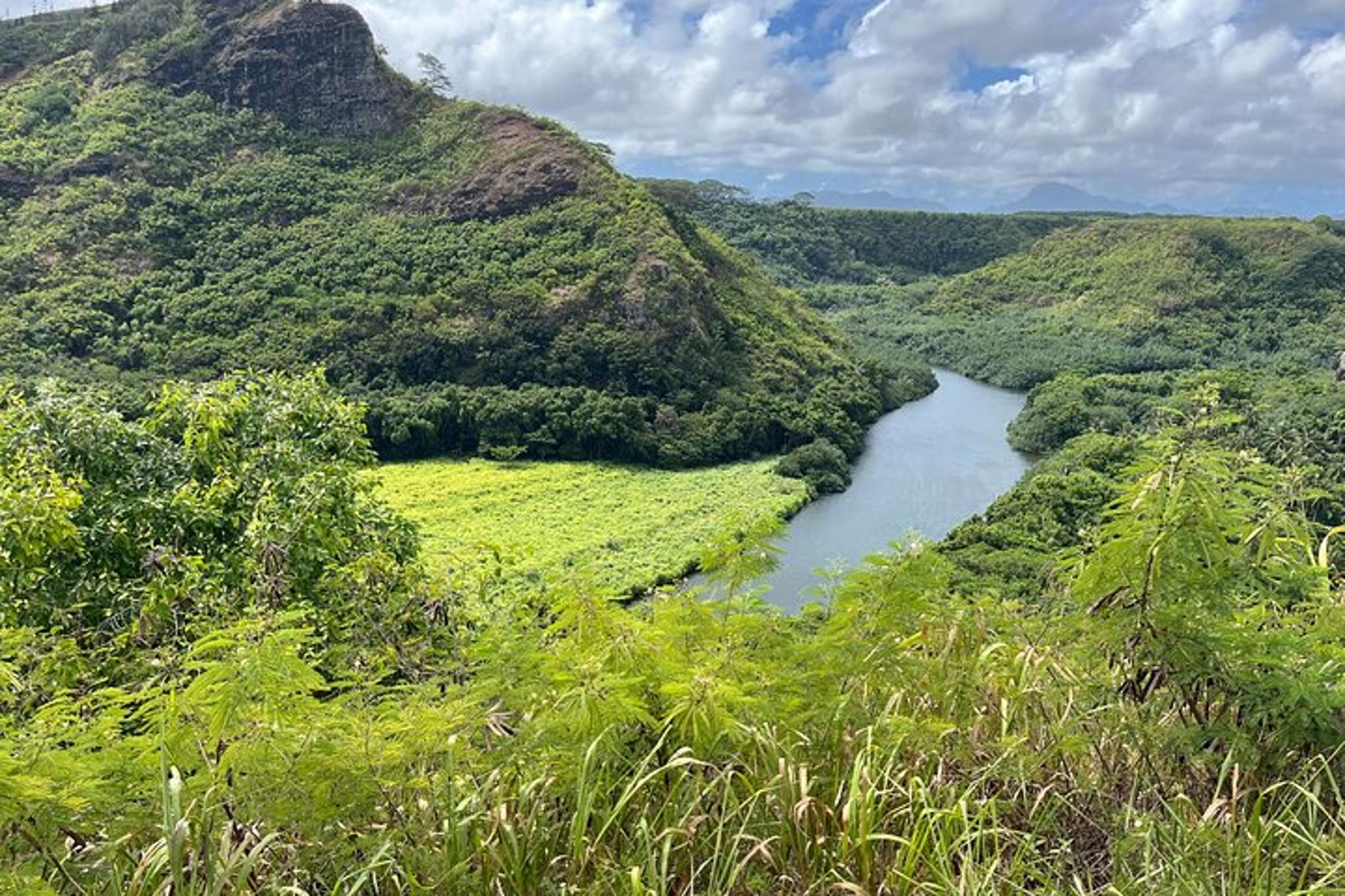 Lihue Kauai Island Movie Tour 7 hr - Image 5
