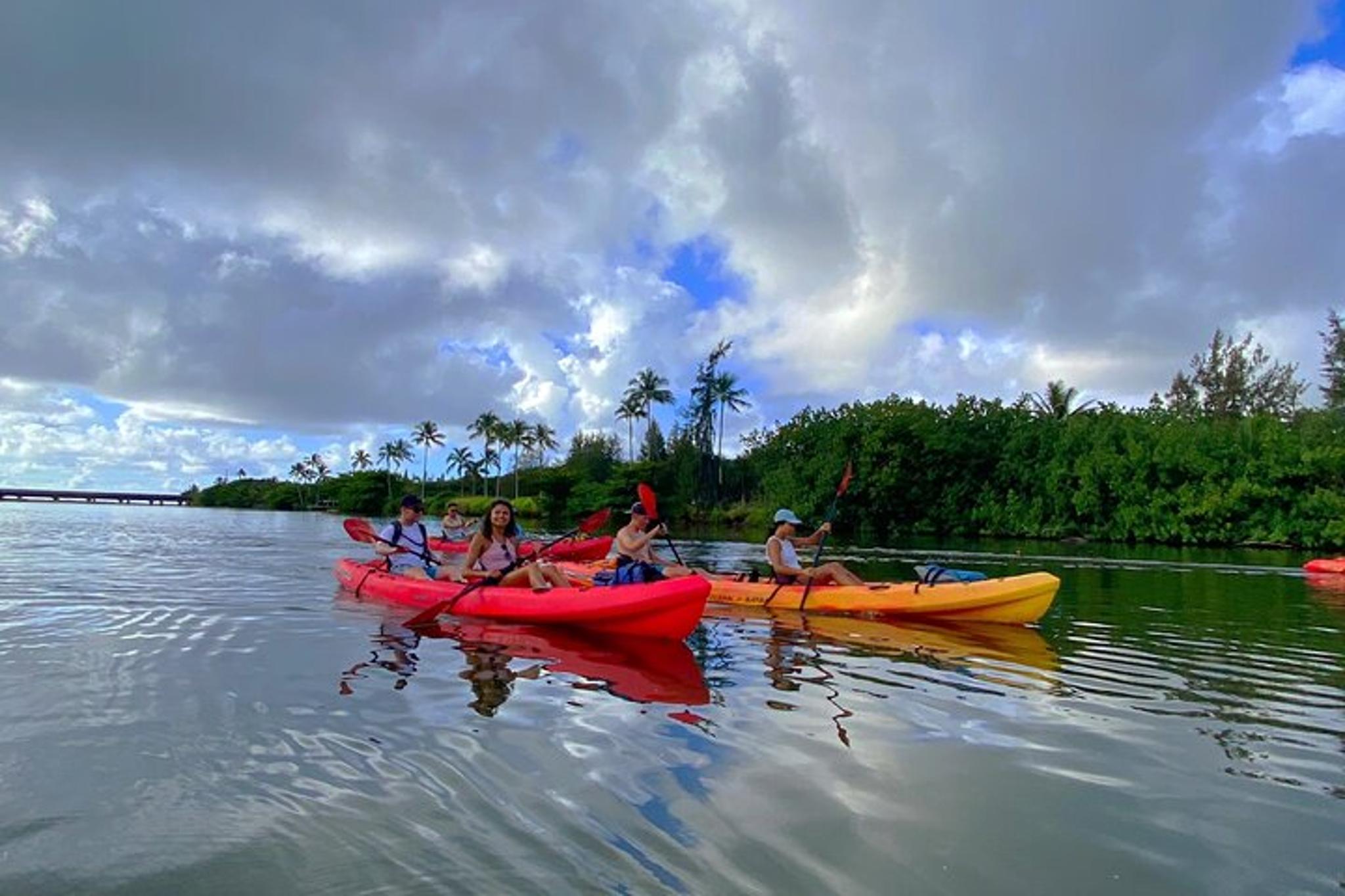 Kauai Kayak and Hike to Secret Falls - Image 6