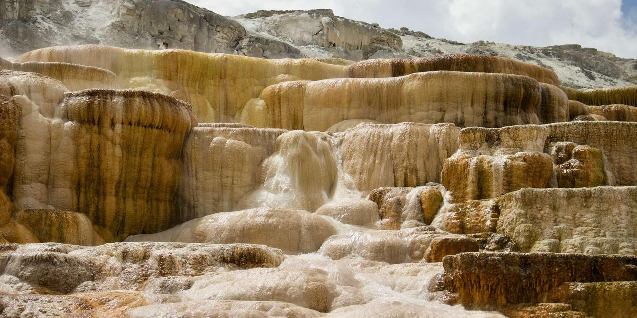 Salt Lake City Yellowstone National Park Tour 5-Day - Image 4