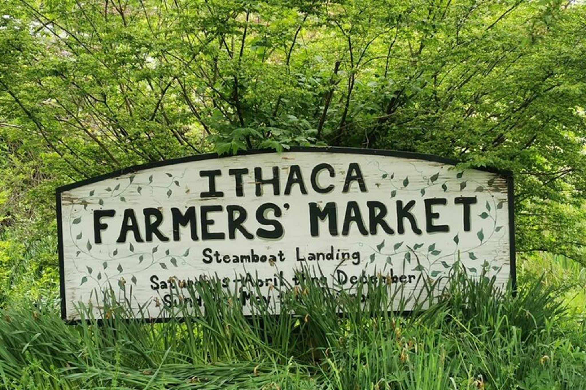 Ithaca Farmers Market Private Tour - Image 4