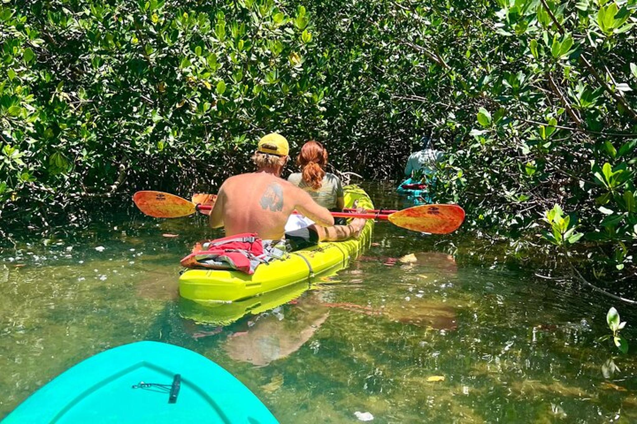 Key West Clear Kayak Rental Discover Mangroves 2 hr - Image 2