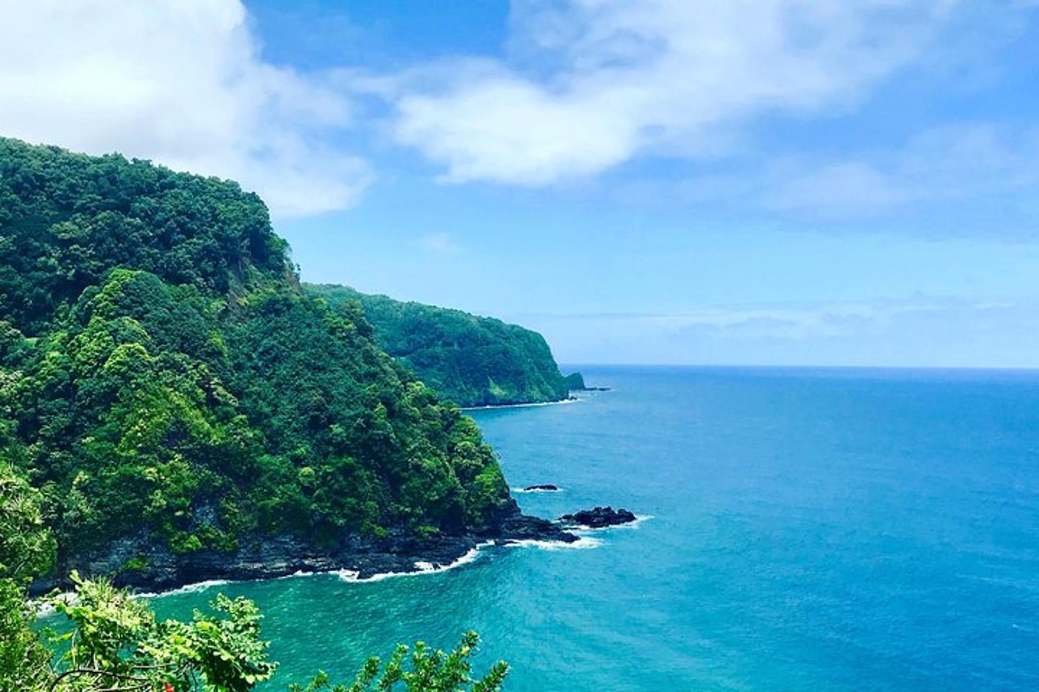 Maui Road to Hana Private Tour 9 hr - Image 4