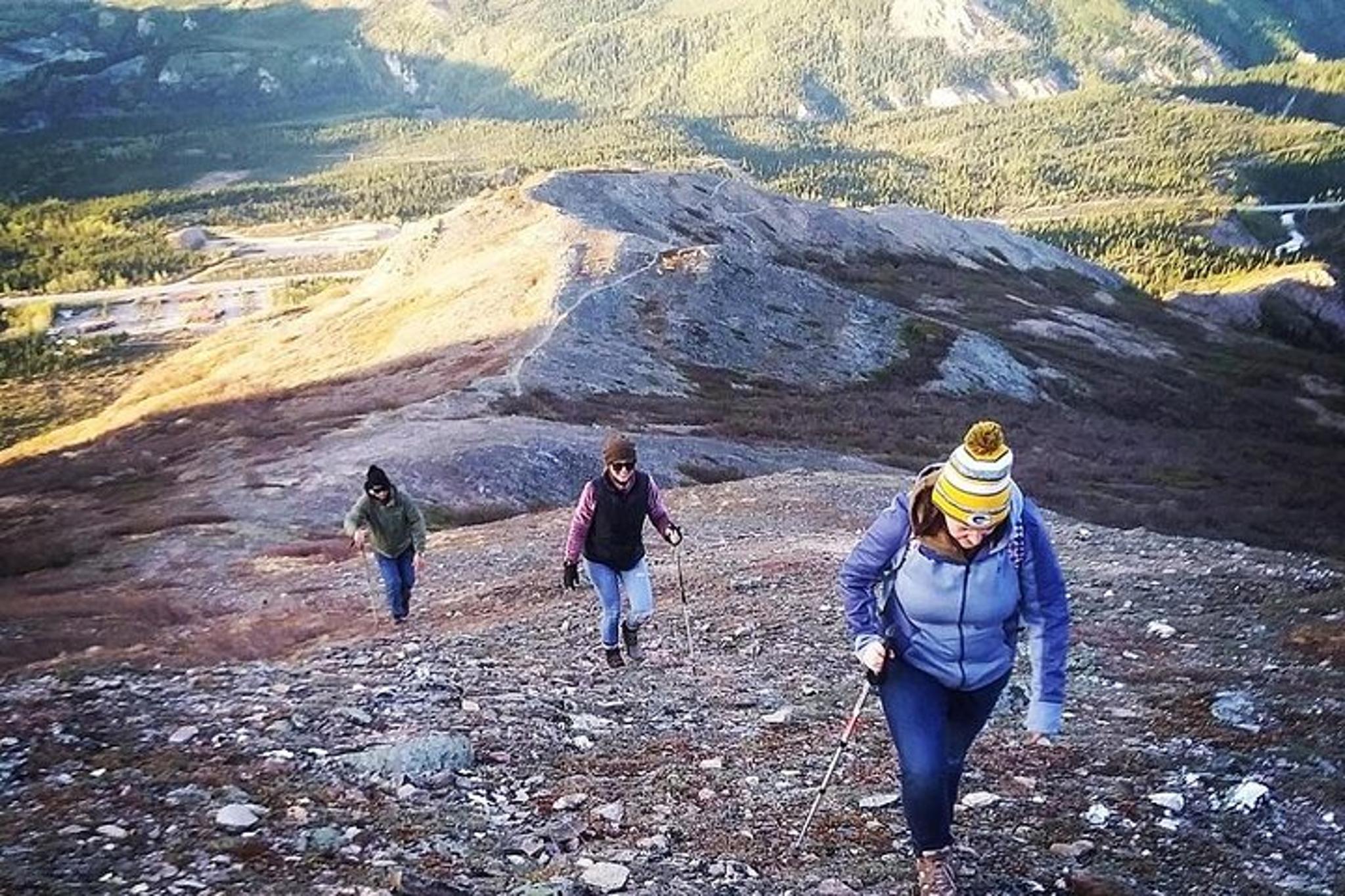 Denali Hiking Tour with Naturalist Guide 5 hr - Image 4