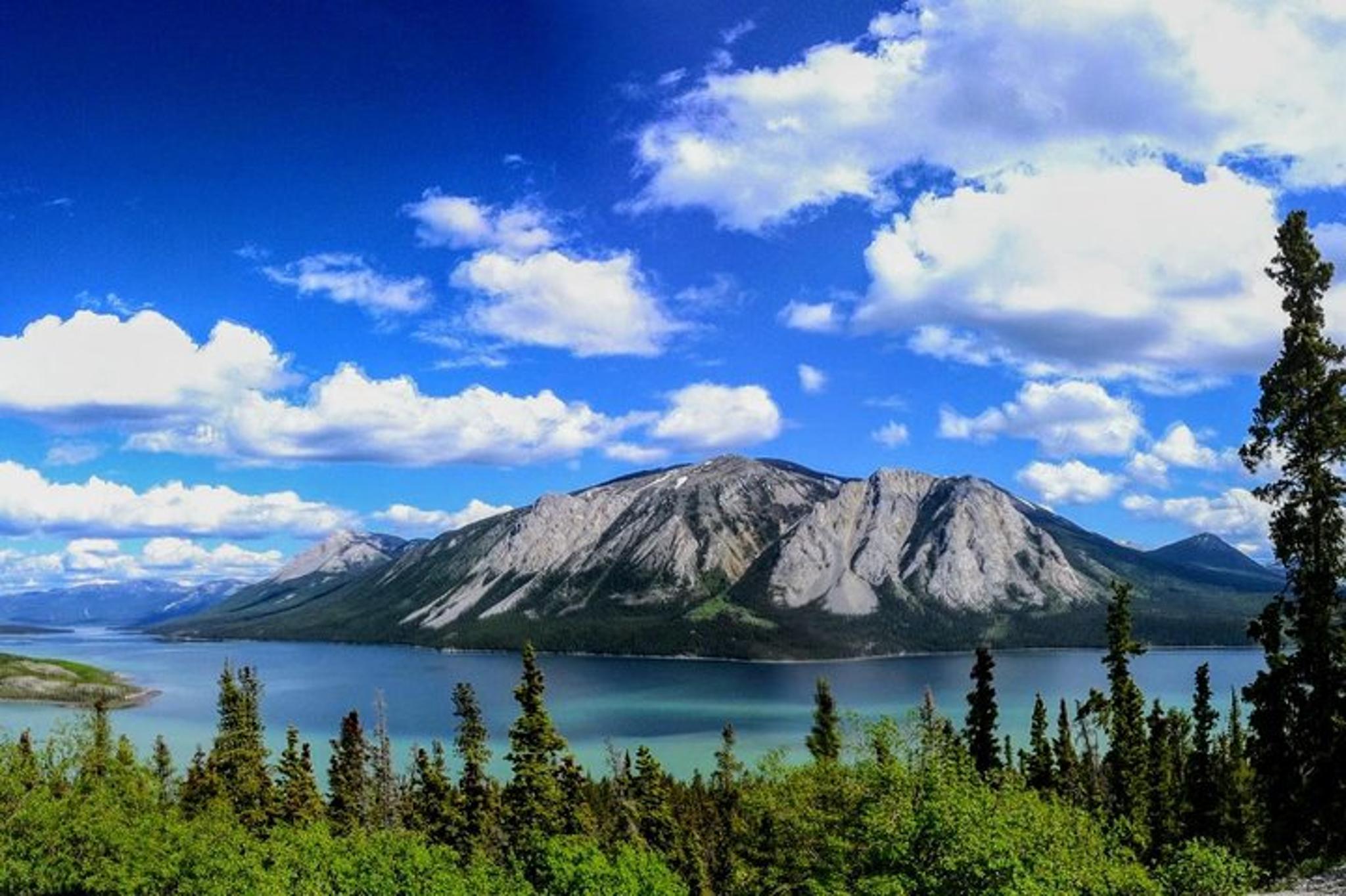 Skagway Yukon Full-Day Tour - Image 4