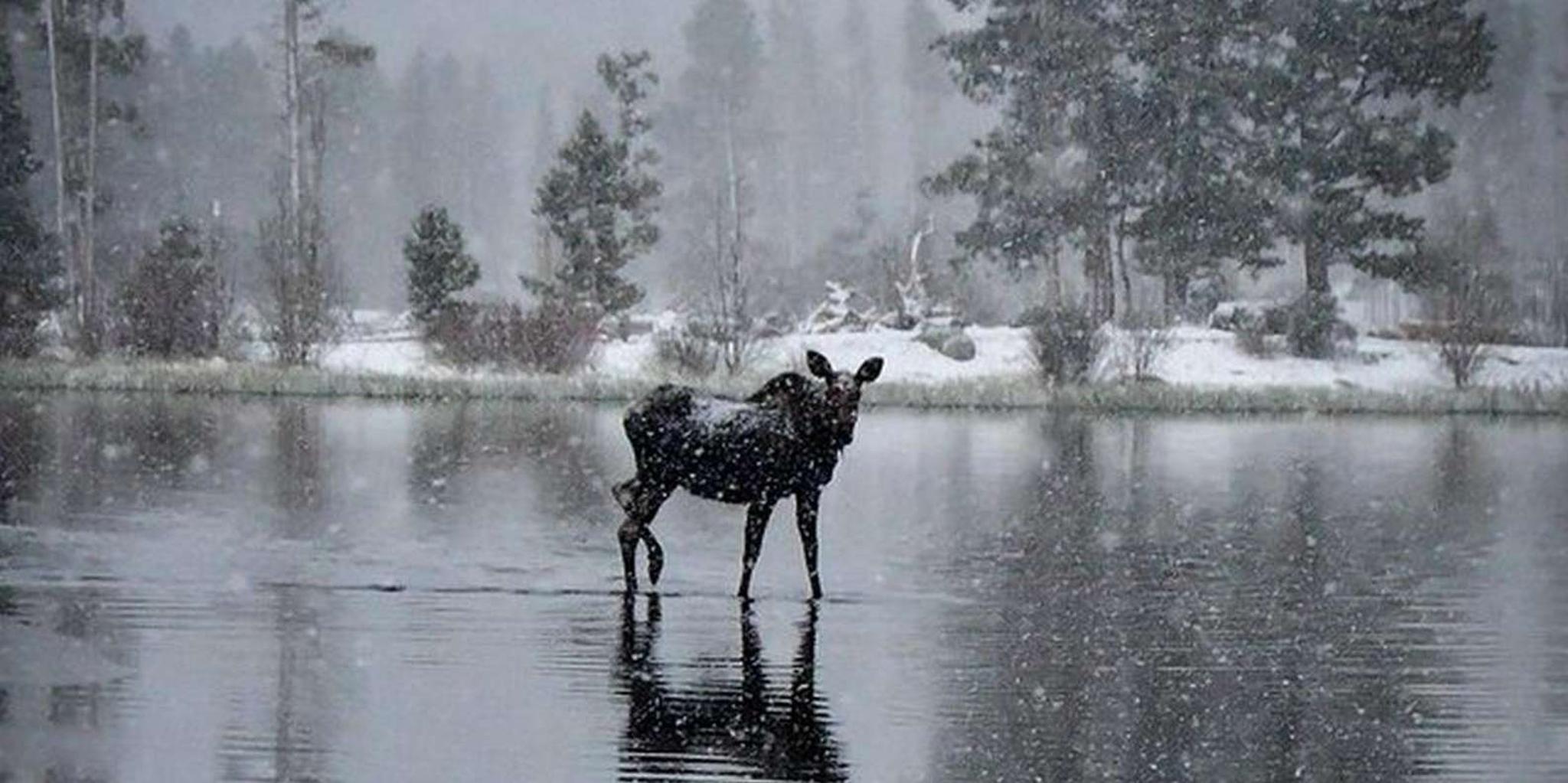 Estes Park Winter Adventure Tour - Image 3