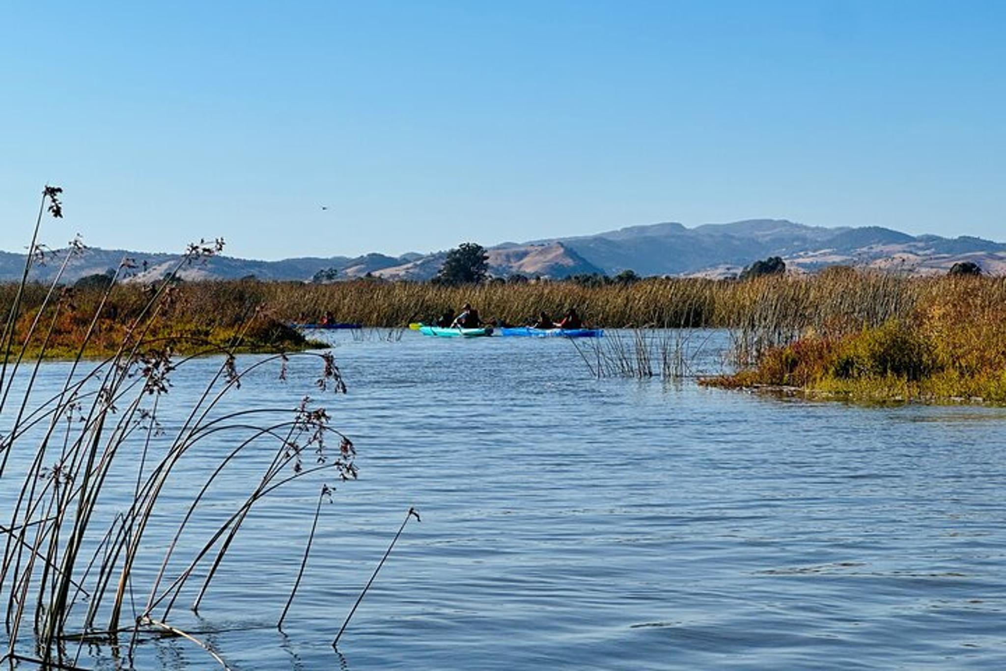 Napa Valley Self-Guided Kayak Tour - Image 5