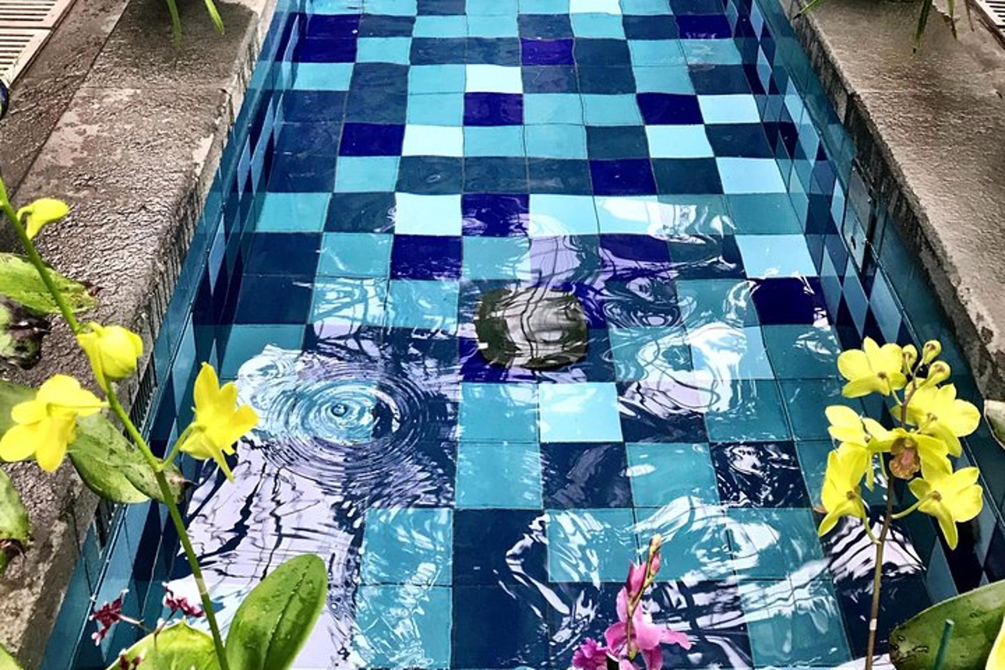 Washington DC City Tour by Private Van - Image 6