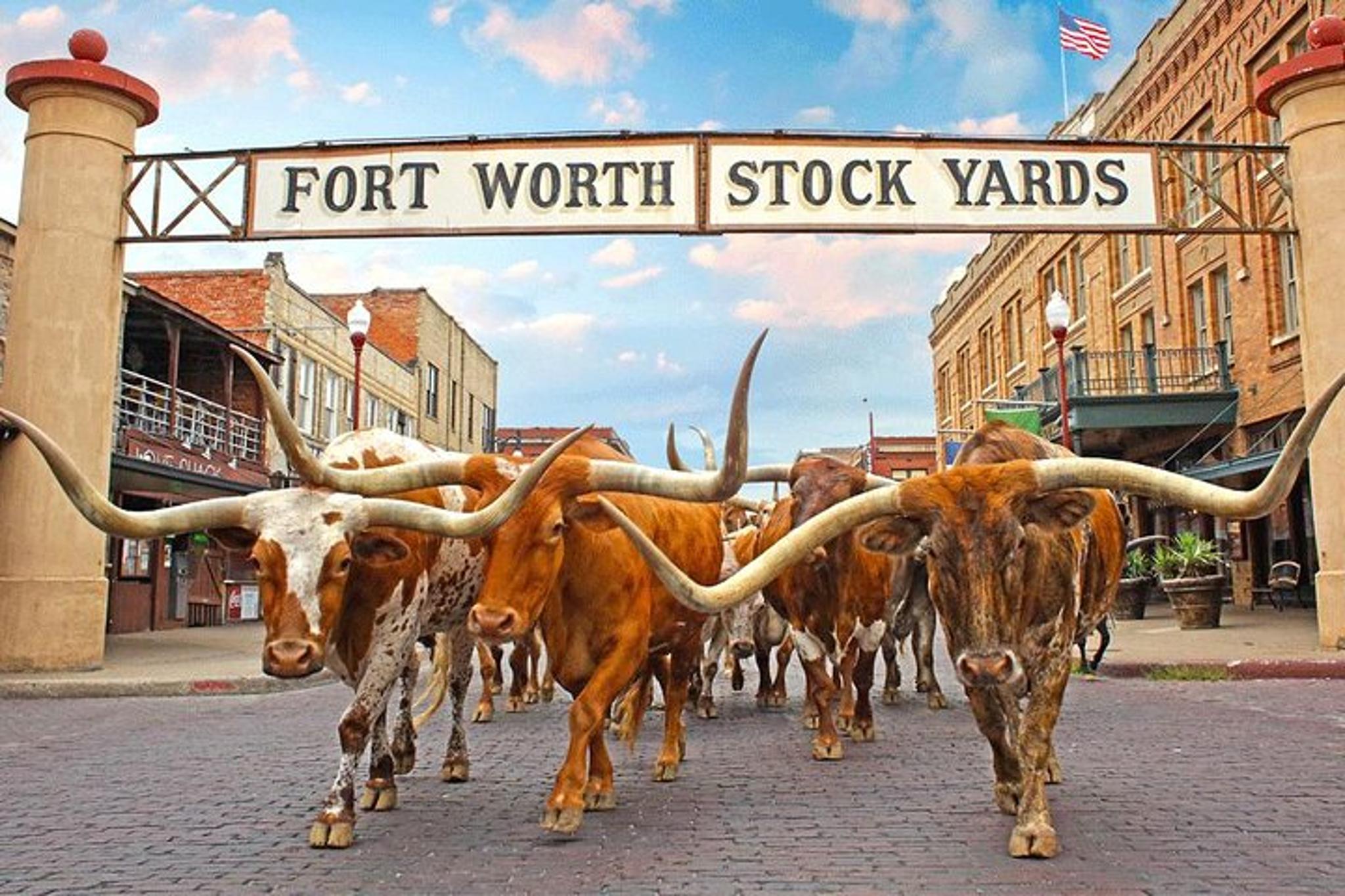 Fort Worth Highlights Tour - Image 2