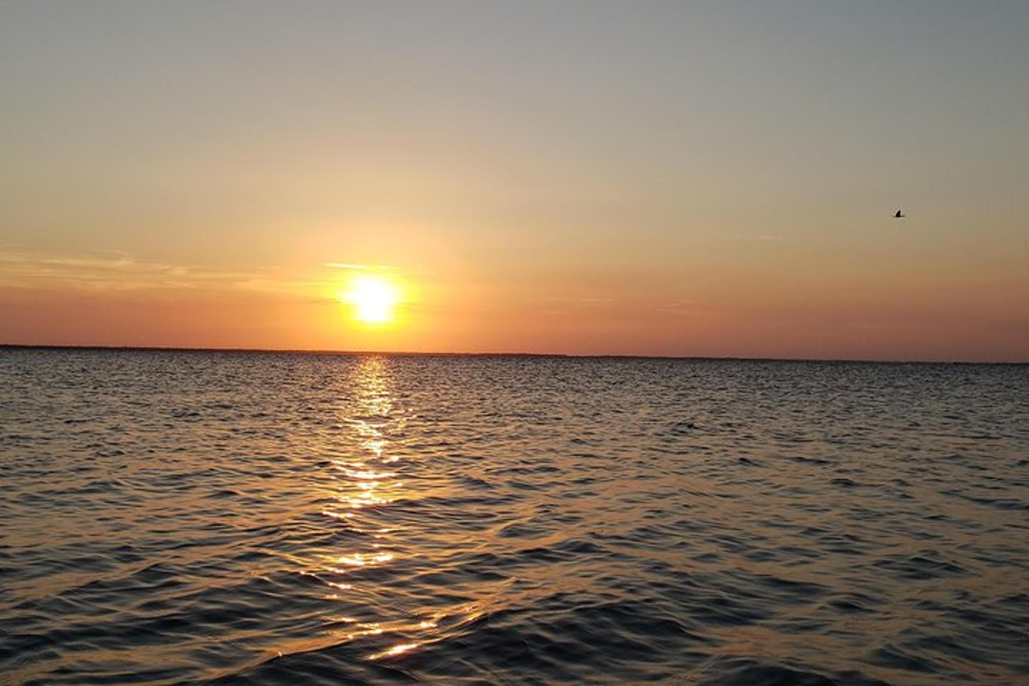 Titusville Kayaking Wildlife Refuge at Sunset - Image 5