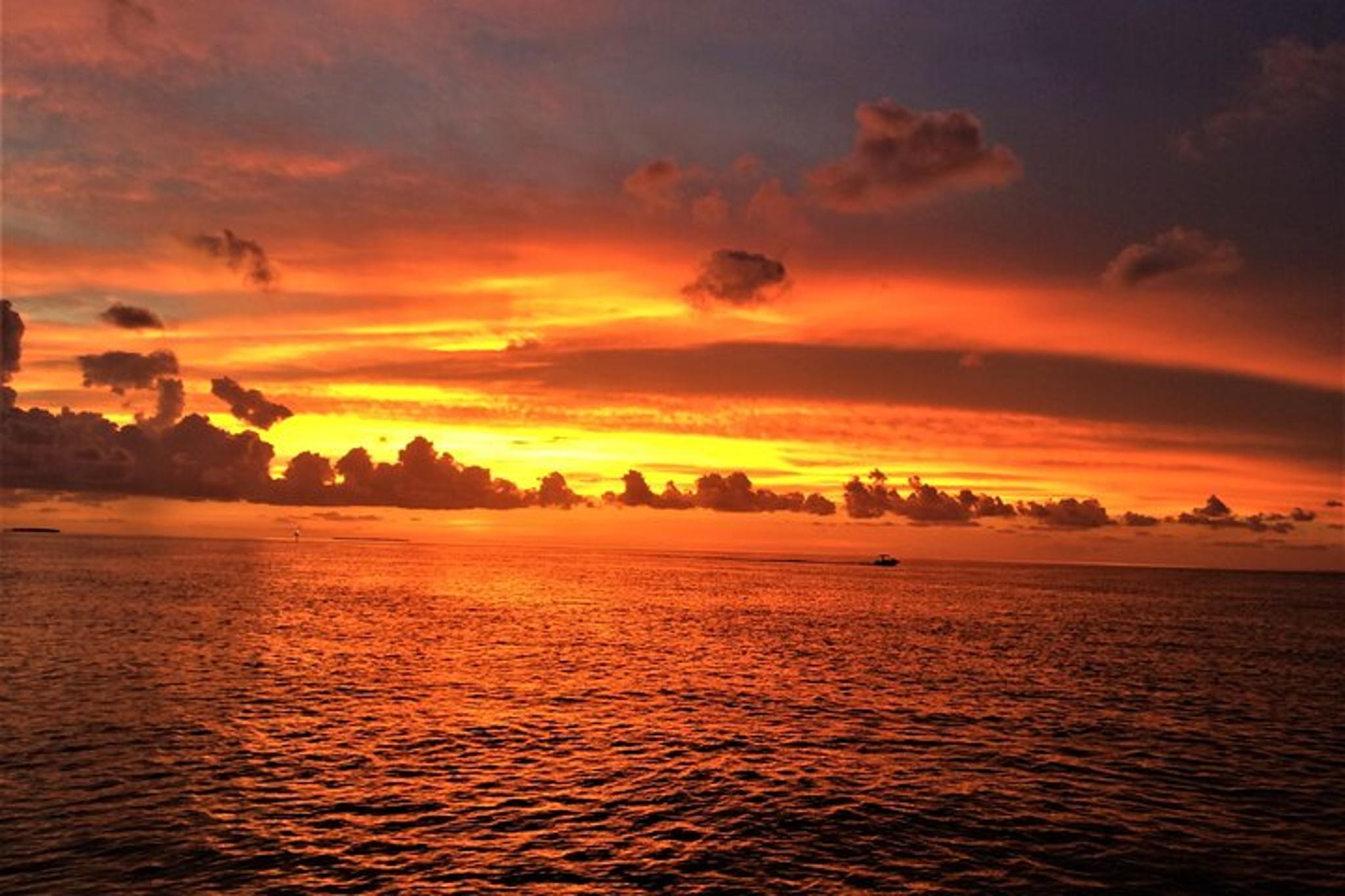 Key Largo Sunset Cruise - Image 6