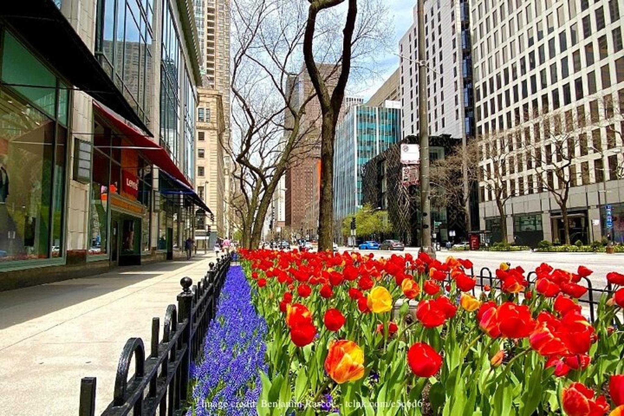 Chicago Private Tour with 360 Observation Deck - Image 6