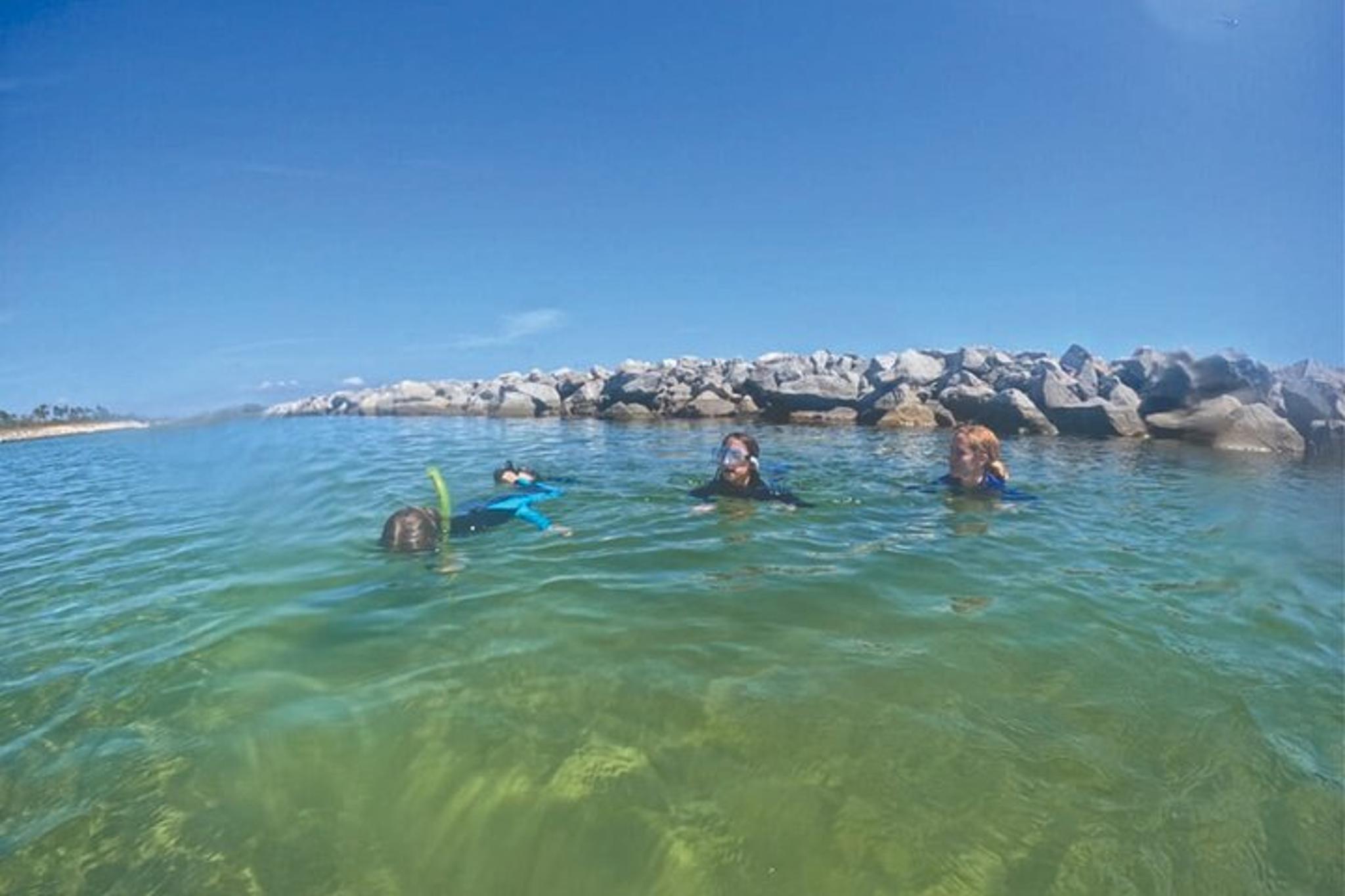 Panama City Snorkeling Tour - Image 3