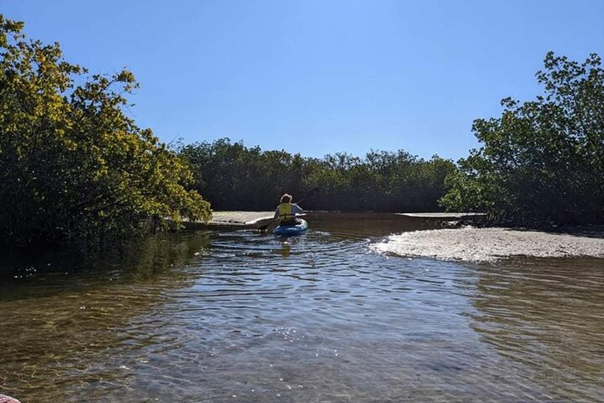 Tarpon Springs Kayak Eco Tour 2 hr - Image 3