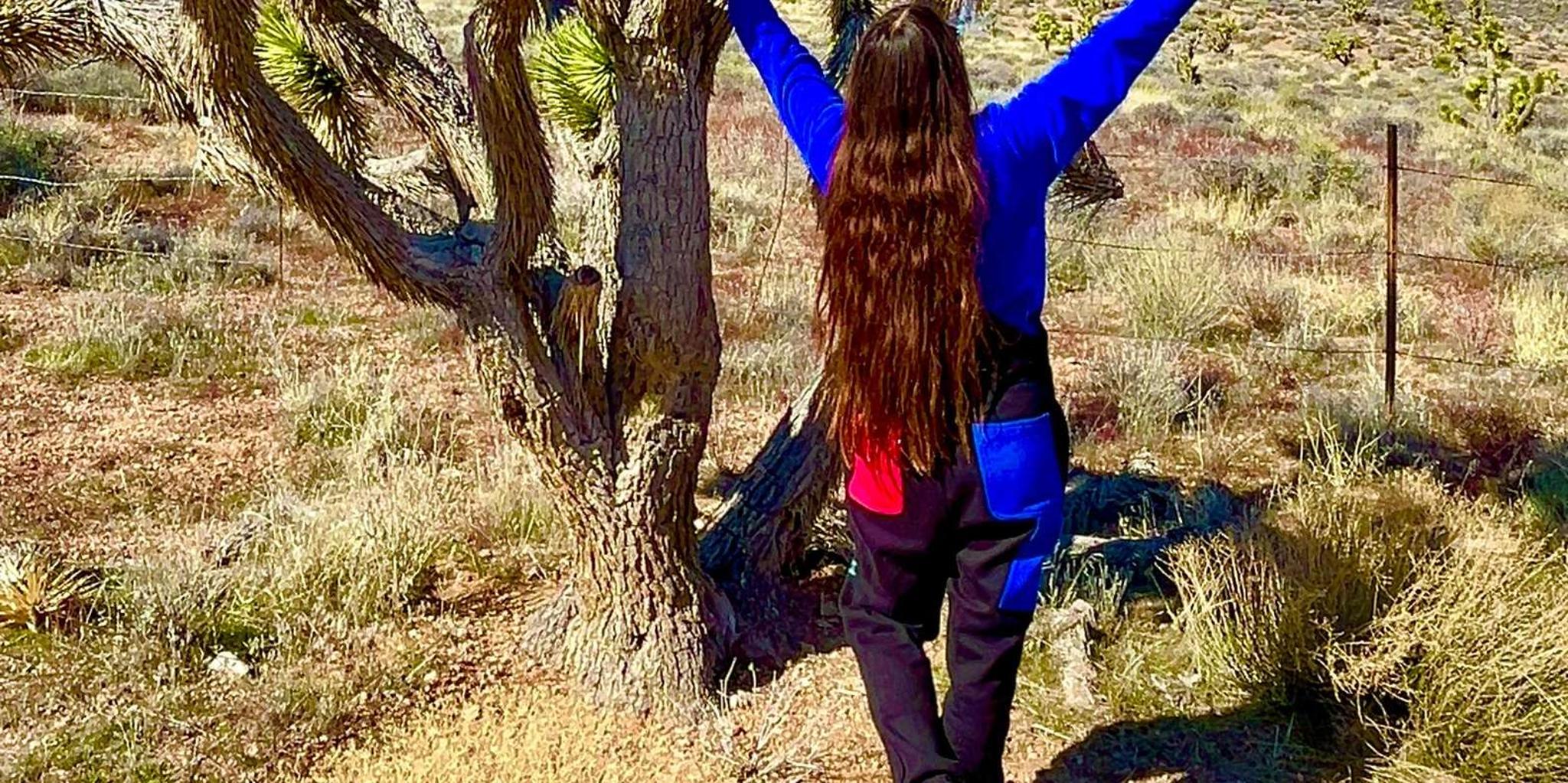 Las Vegas Red Rock Canyon Guided Driving Adventure - Image 3