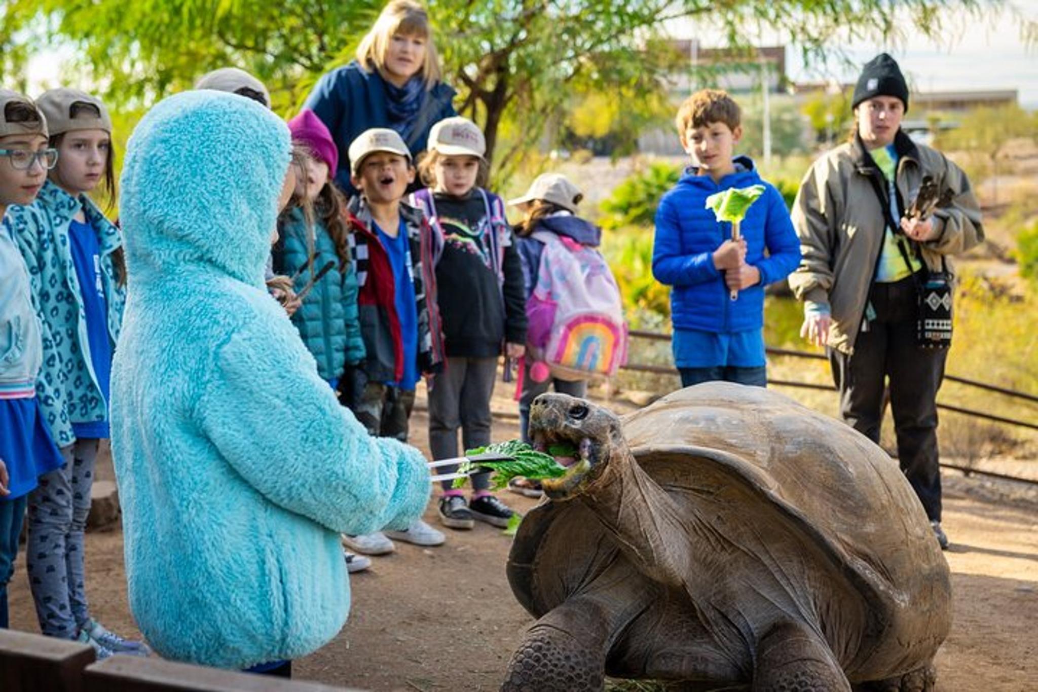 Phoenix Zoo Admission Ticket - Image 2