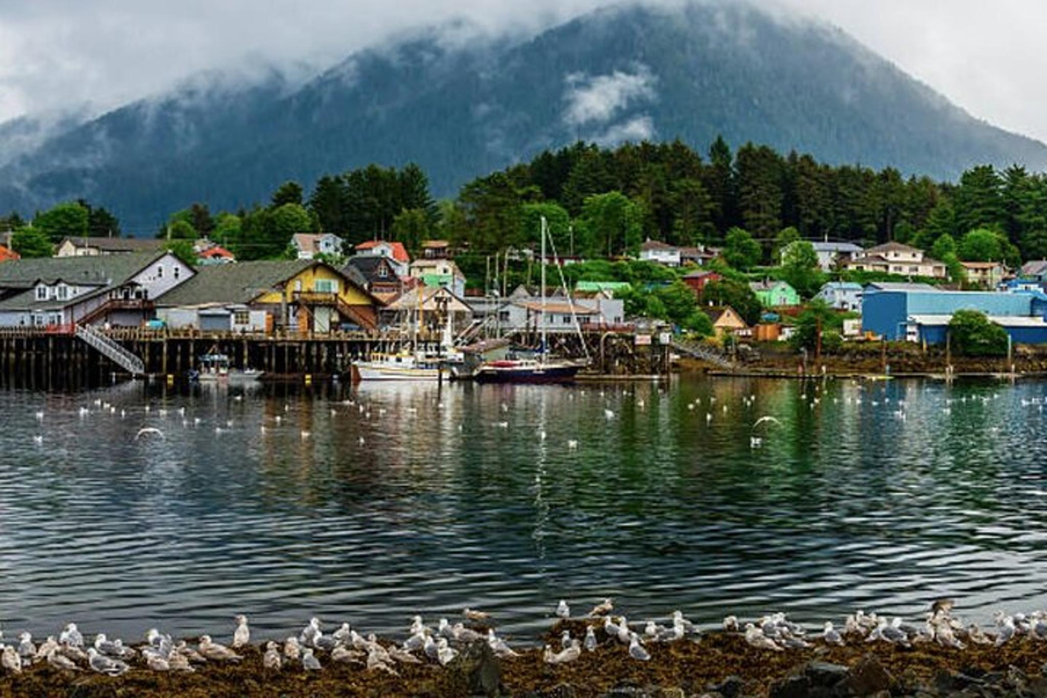 Sitka Harbor & Islands Guided Kayaking - Image 6