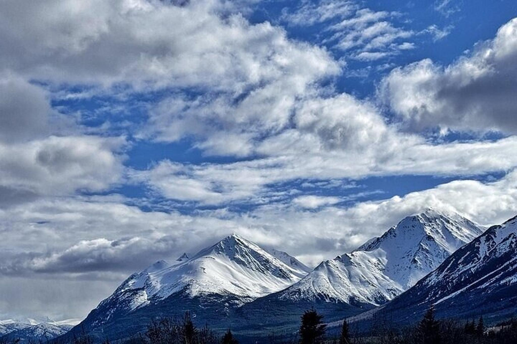 Skagway White Pass and Yukon Suspension Bridge Tour - Image 2