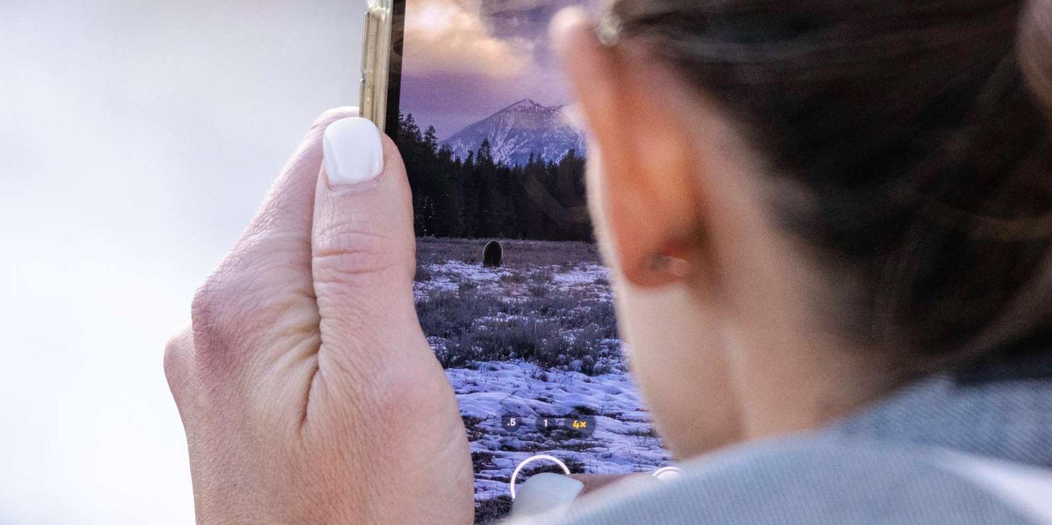 Jackson Grand Teton Sunset Sightseeing Tour - Image 3