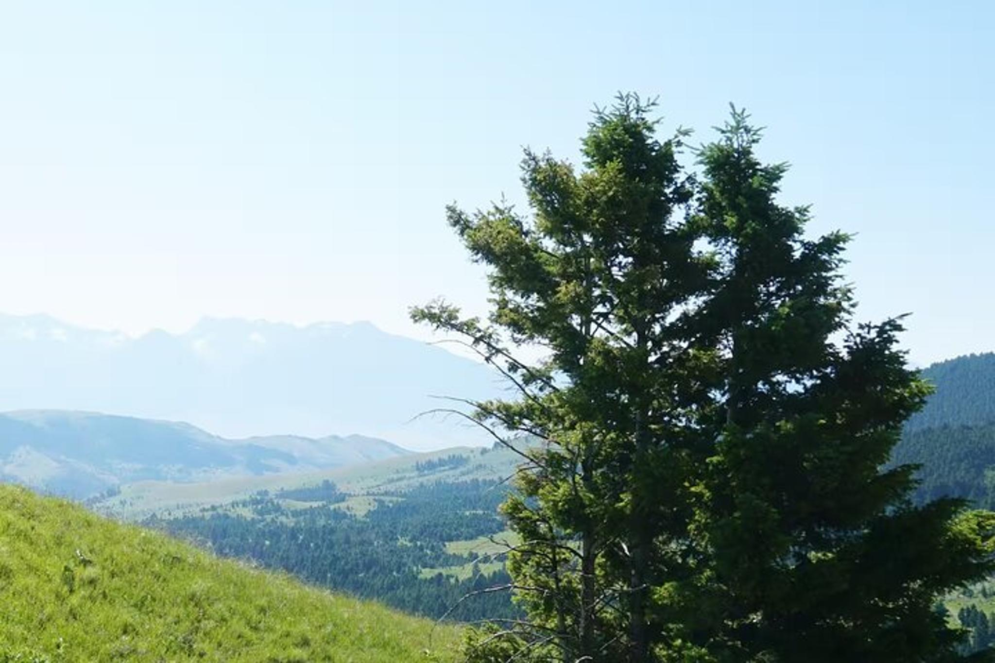 Paradise Valley Chimney Rock Trail Ride - Image 2