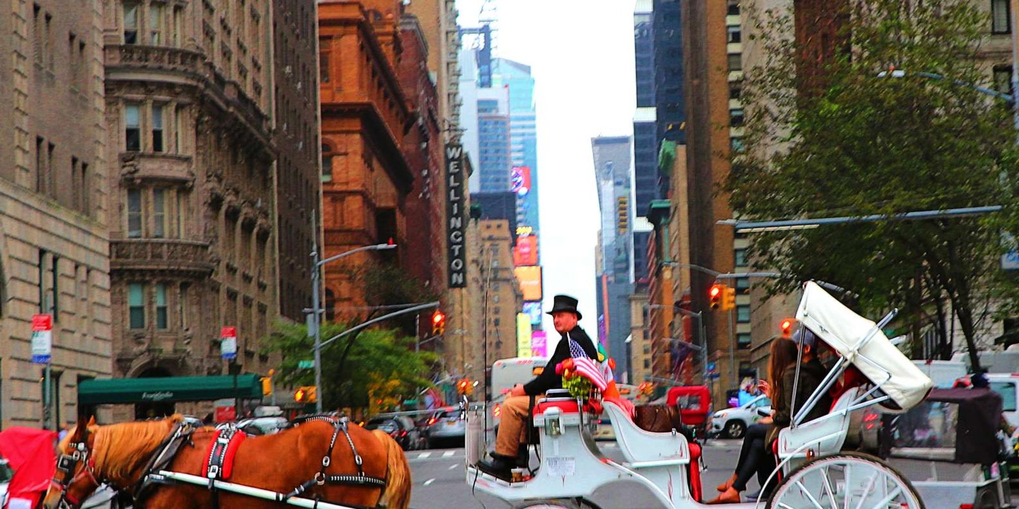 New York Central Park Horse Carriage Ride 20 Min - Image 2