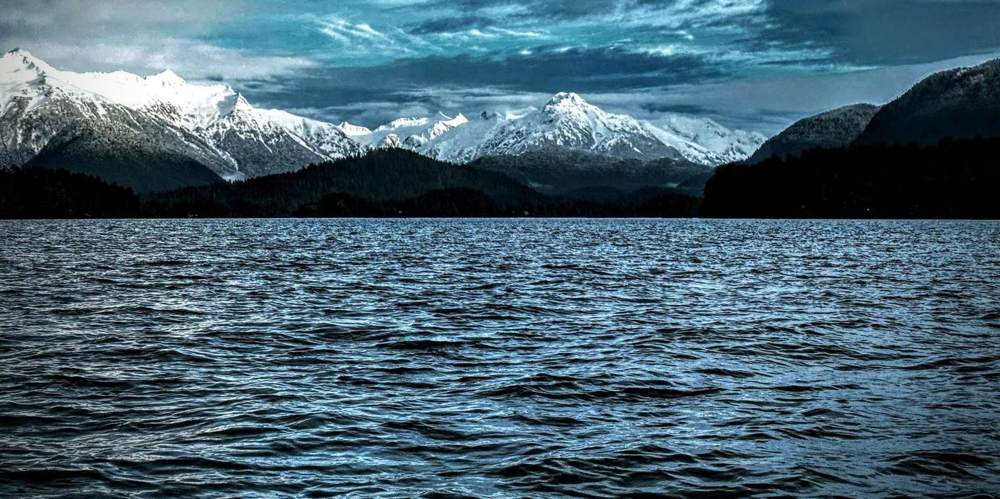 Sitka Sea and Land Wildlife Tour with Meal - Image 5