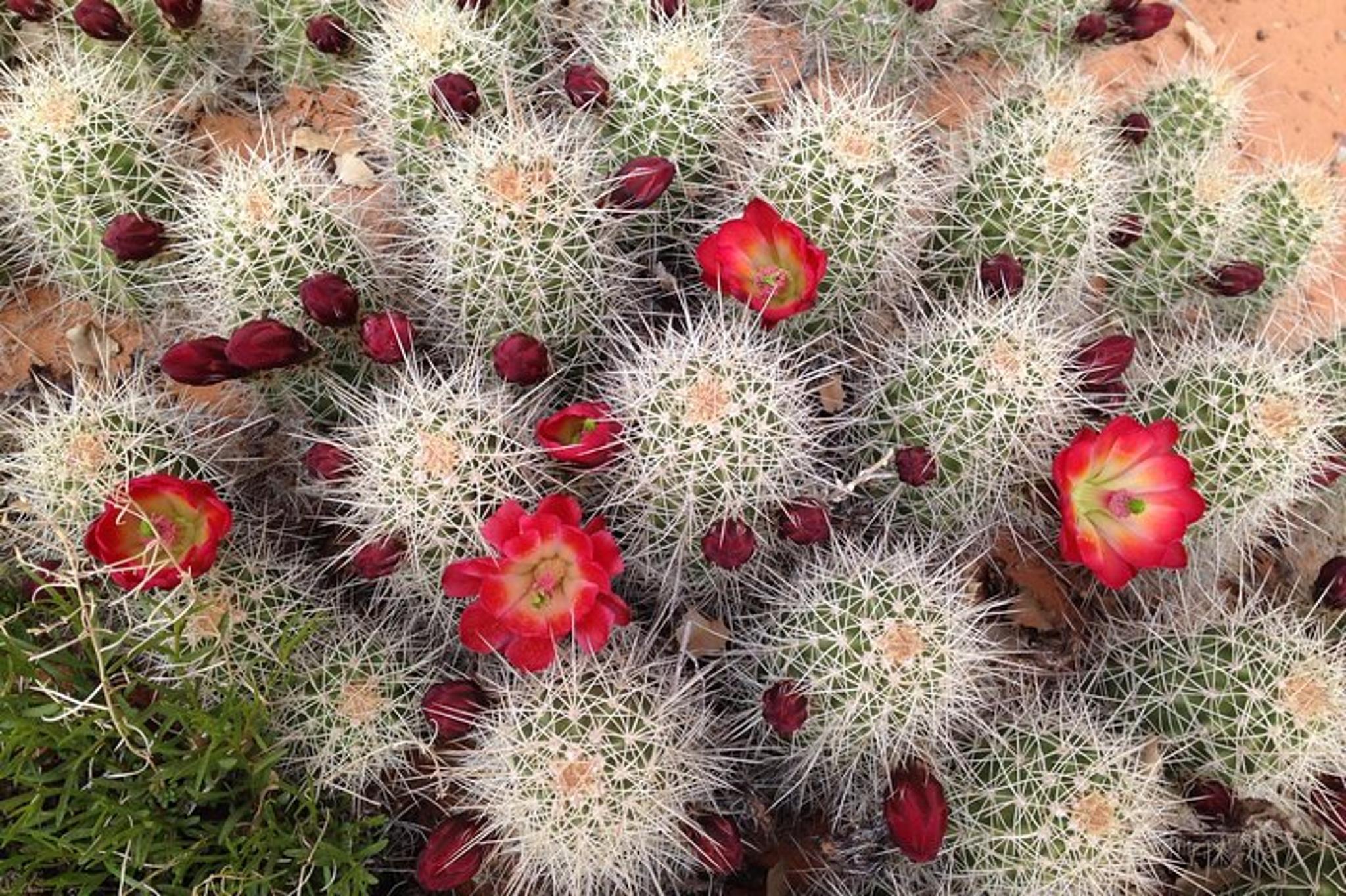 Monument Valley 4×4 Tour - Image 3