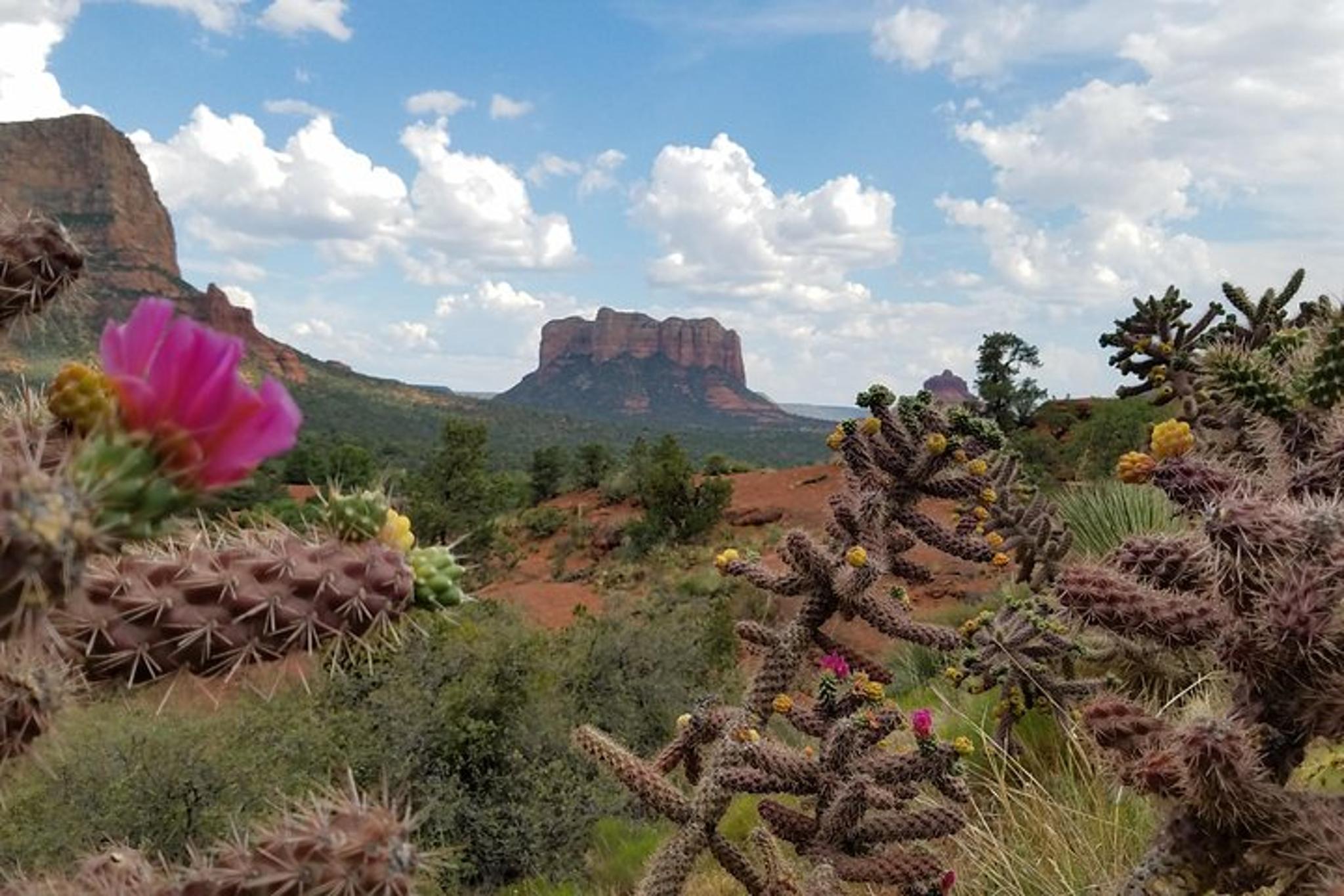 Sedona Grand Canyon Tour - Image 5