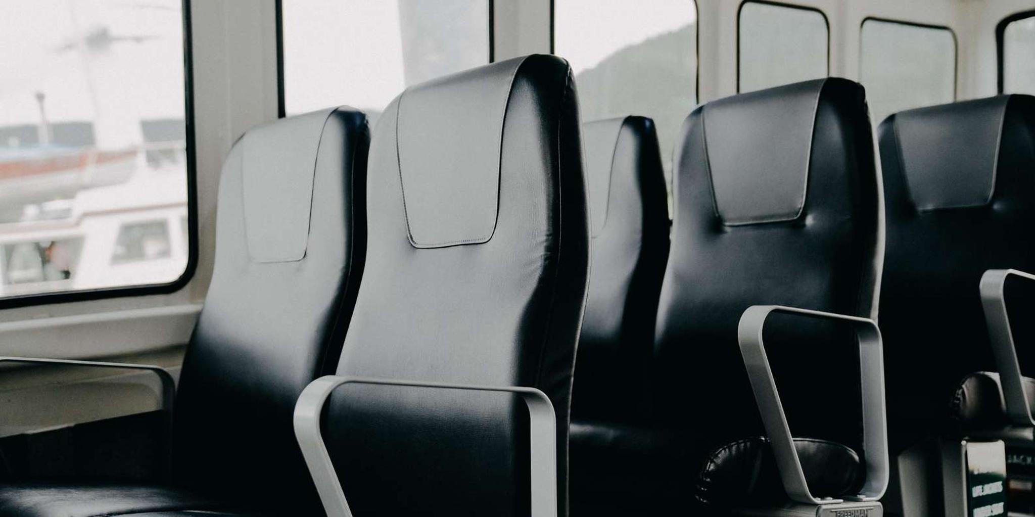 Juneau Whale Watching Tour 3.5 hr - Image 2