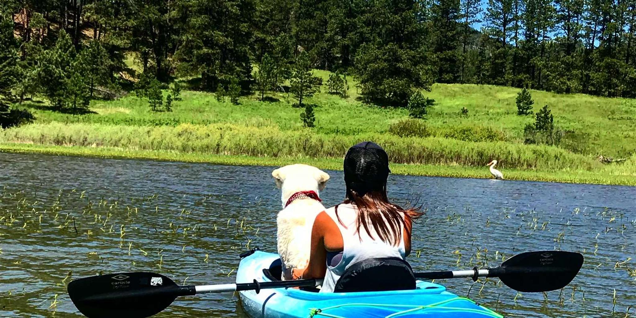 Pactola Lake Kayak or Paddleboard Experience - Image 2