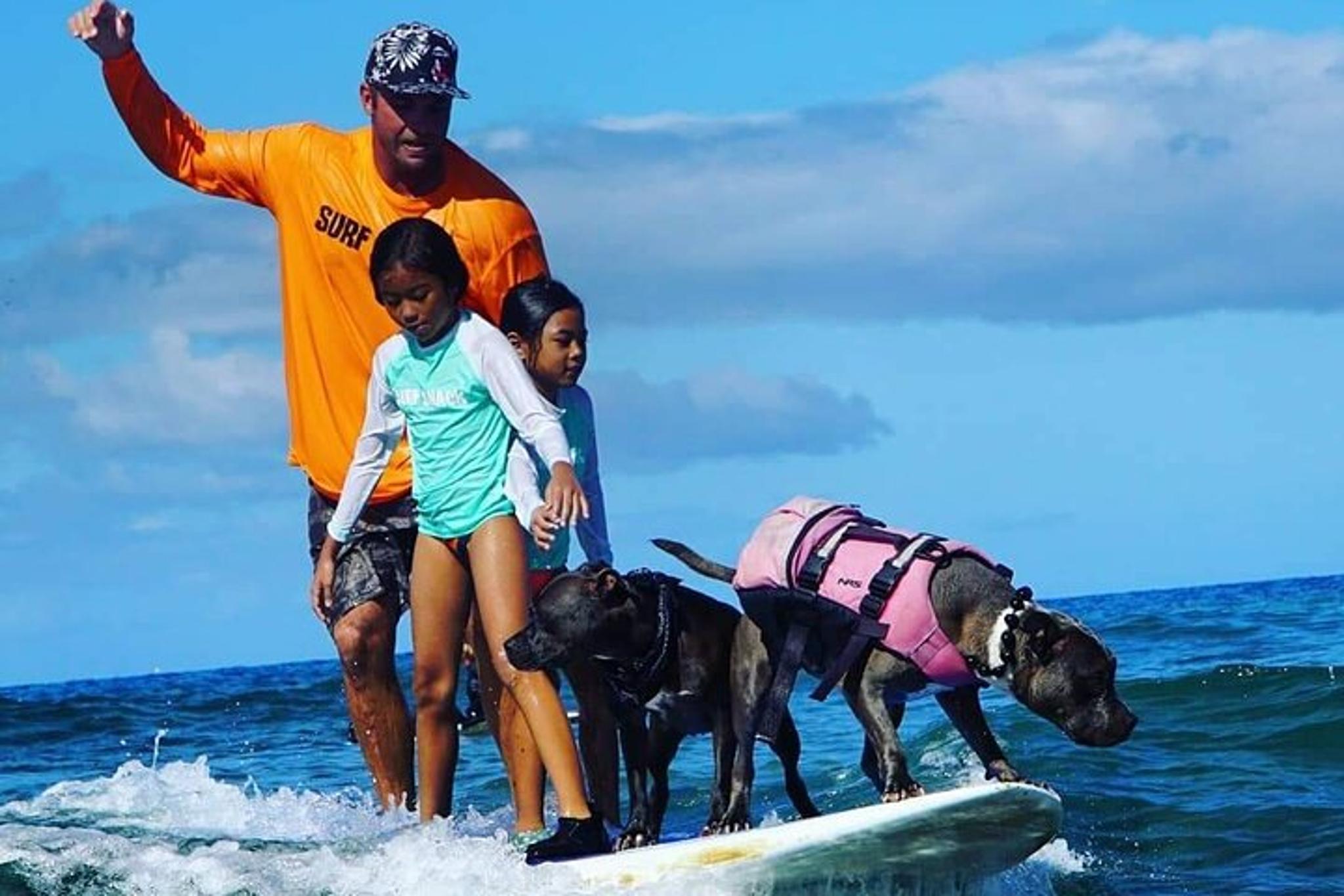 Maui Surfing Experience with Service Animal 2 hr - Image 6