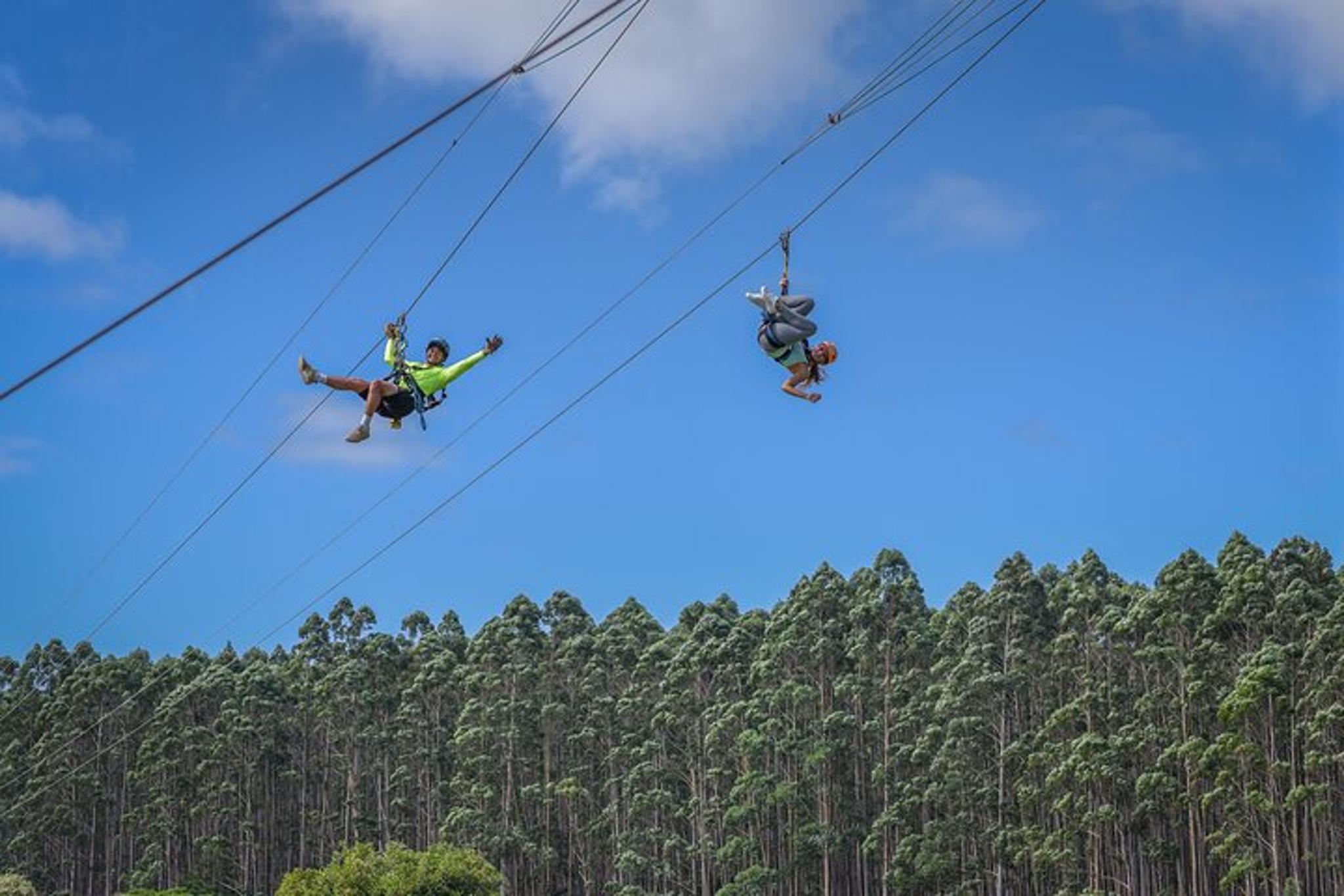 Umauma Falls Zipline Experience - Image 3