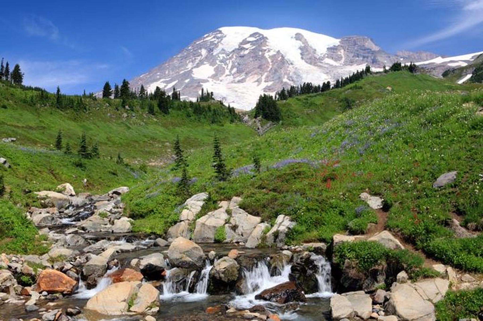 Seattle Mt Rainier National Park Private Day Trip - Image 5