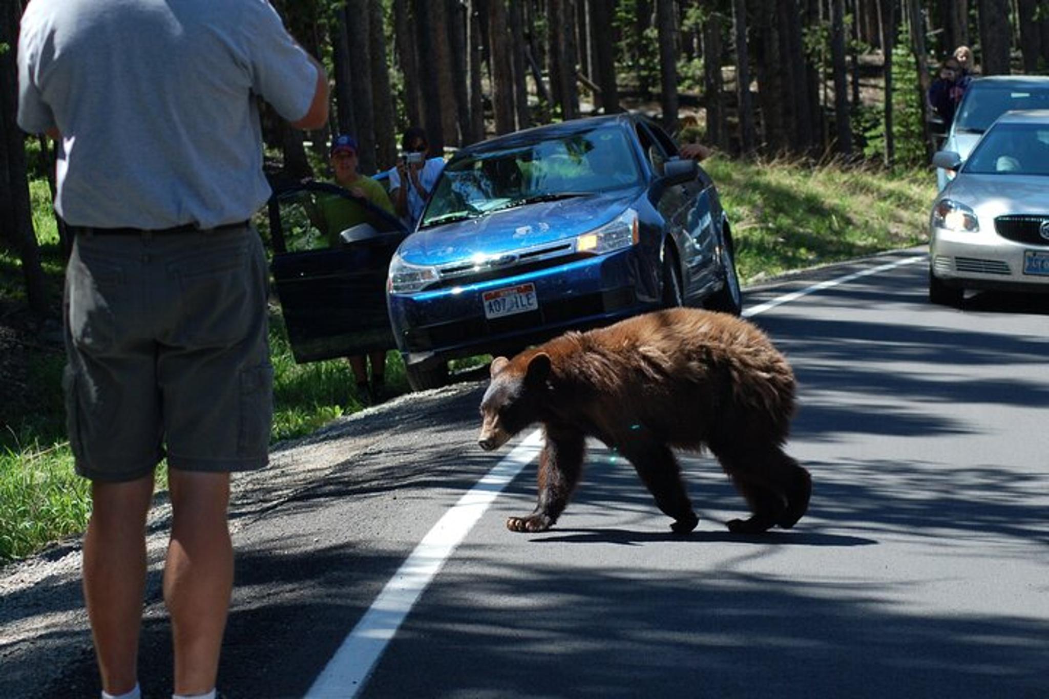 Yellowstone Grand Tour - Image 6