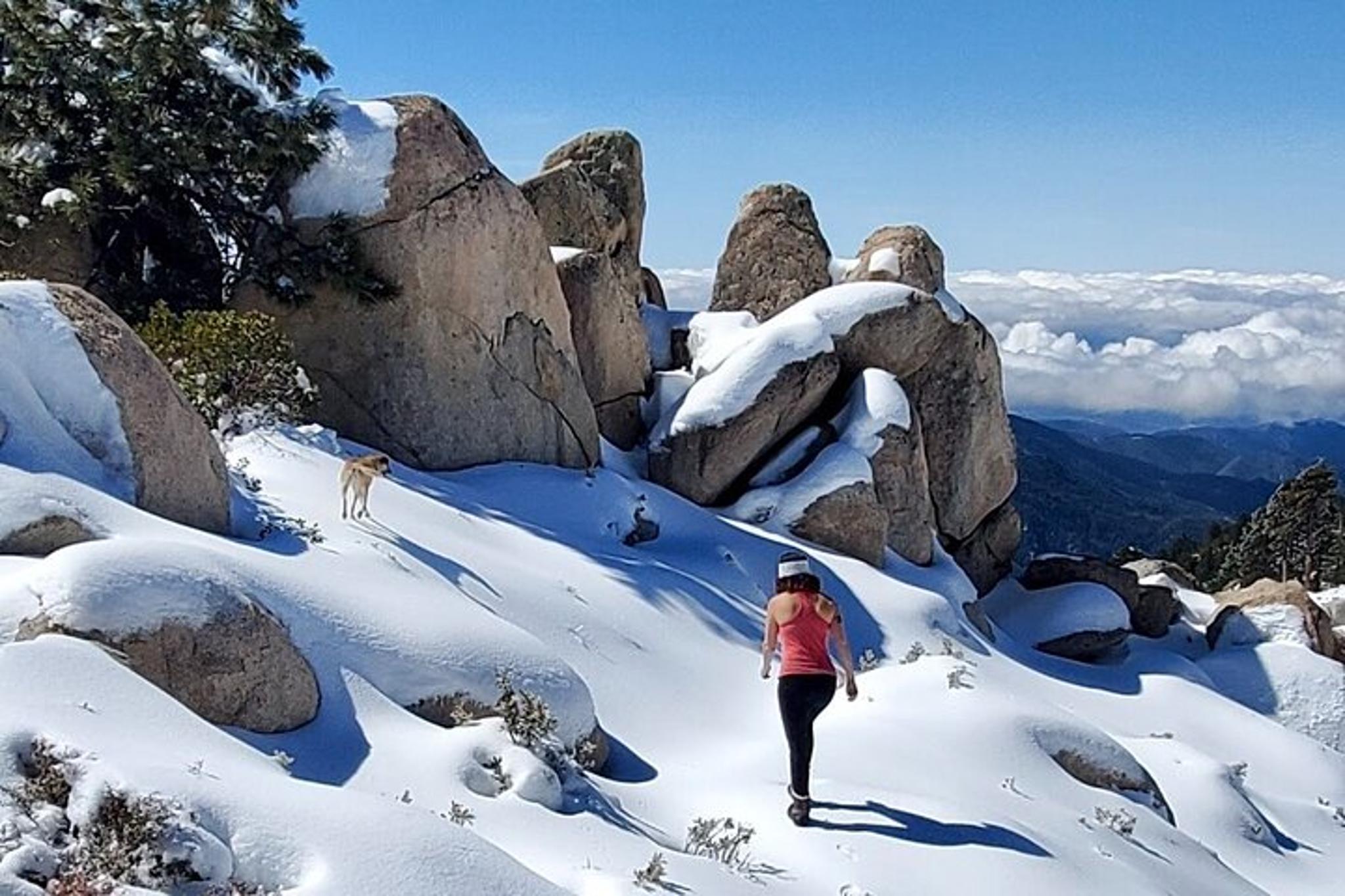 Big Bear Lake Snowshoe Tour with Hot Chocolate - Image 3