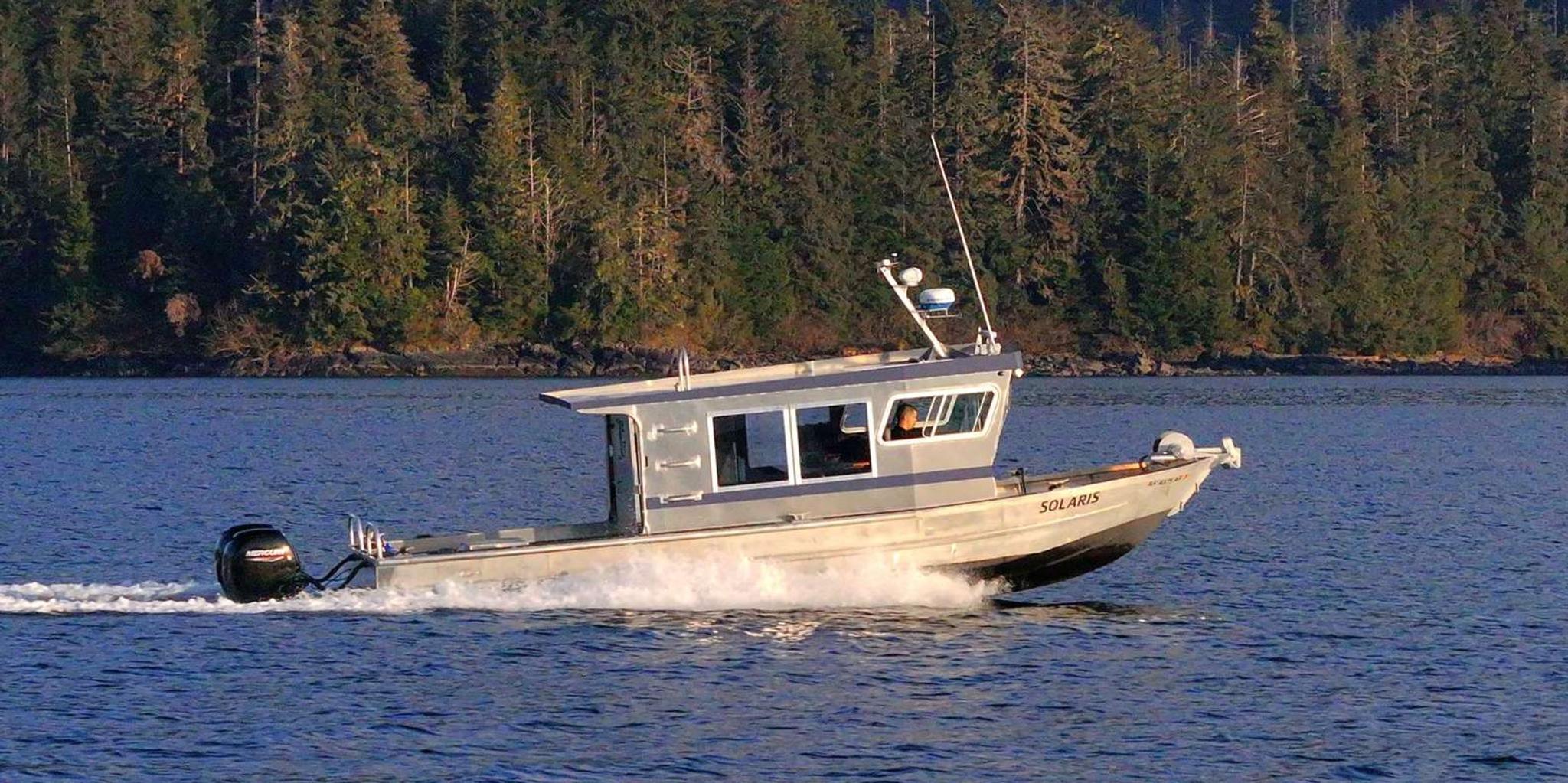 Sitka Whale Watching and Wildlife Tour - Image 4